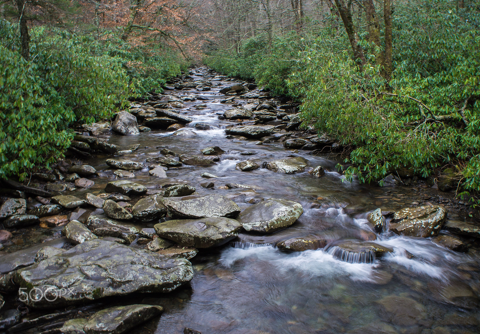 Sony Alpha NEX-C3 + Sony E 18-55mm F3.5-5.6 OSS sample photo. Smoky mountain national park photography