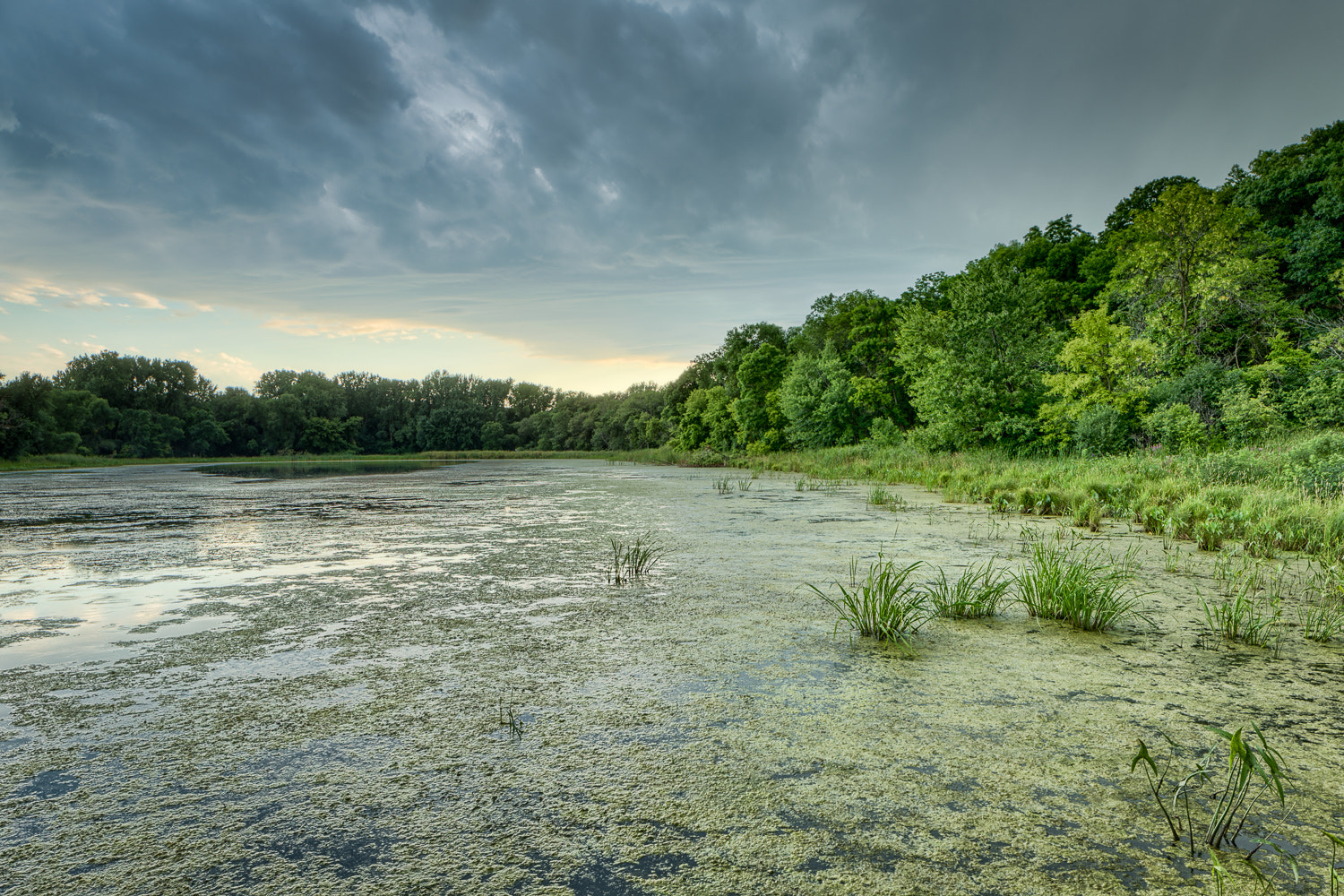Canon TS-E 24mm F3.5L II Tilt-Shift sample photo. Upper lake, saint paul photography