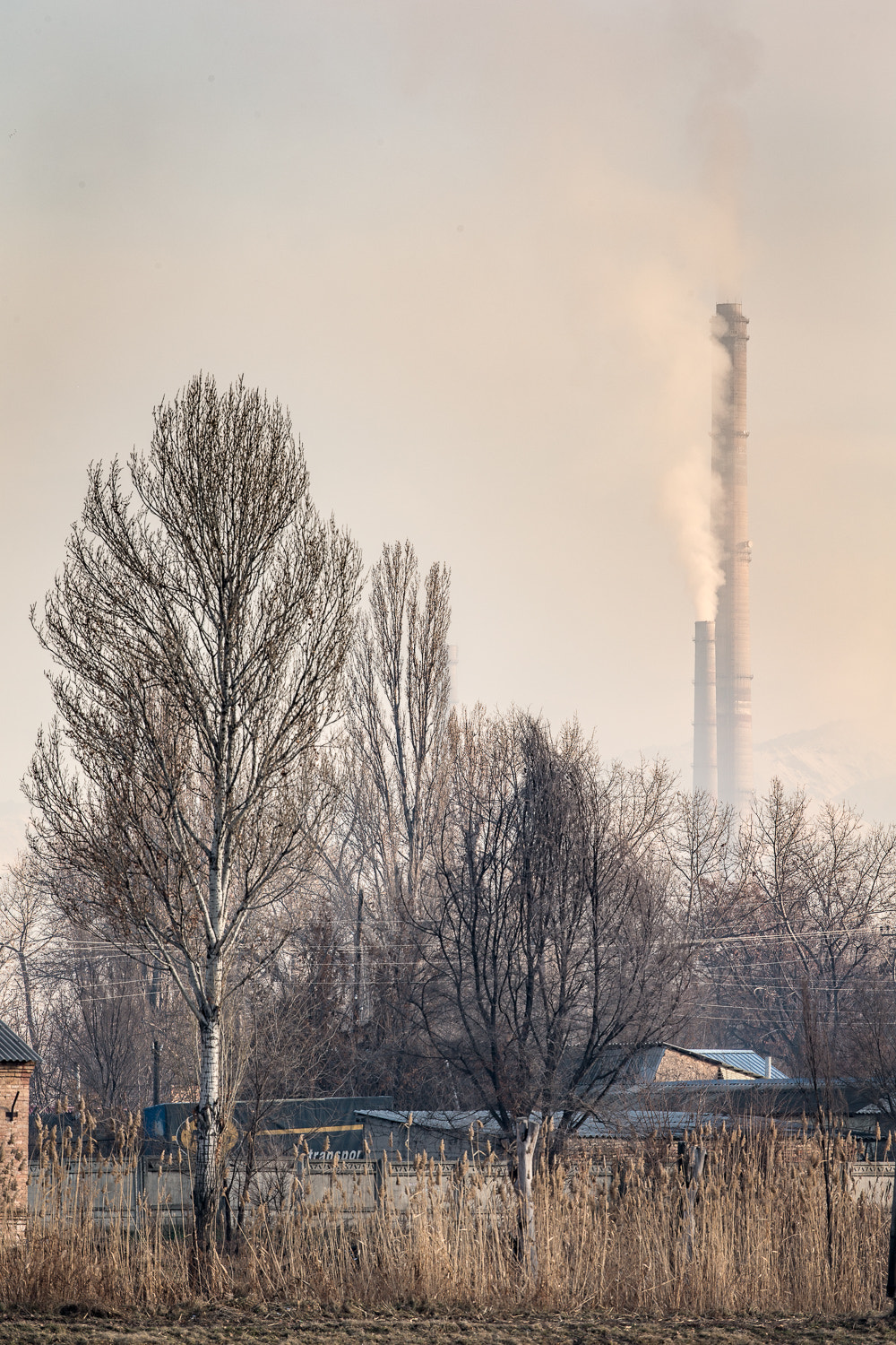 Canon EF 300mm F2.8L IS II USM sample photo. Bishkek thermal power station pollution photography