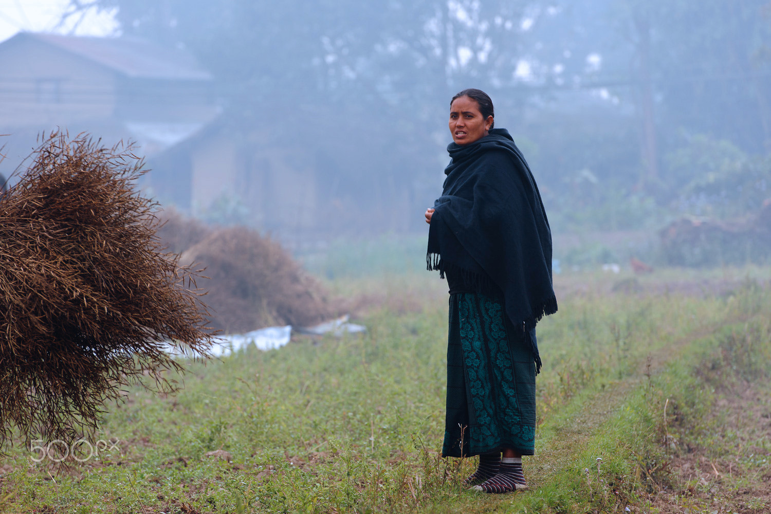 Nikon D3X + Nikon AF-S Nikkor 70-200mm F2.8G ED VR II sample photo. Tharu woman in farmland - nepal,chitwan photography