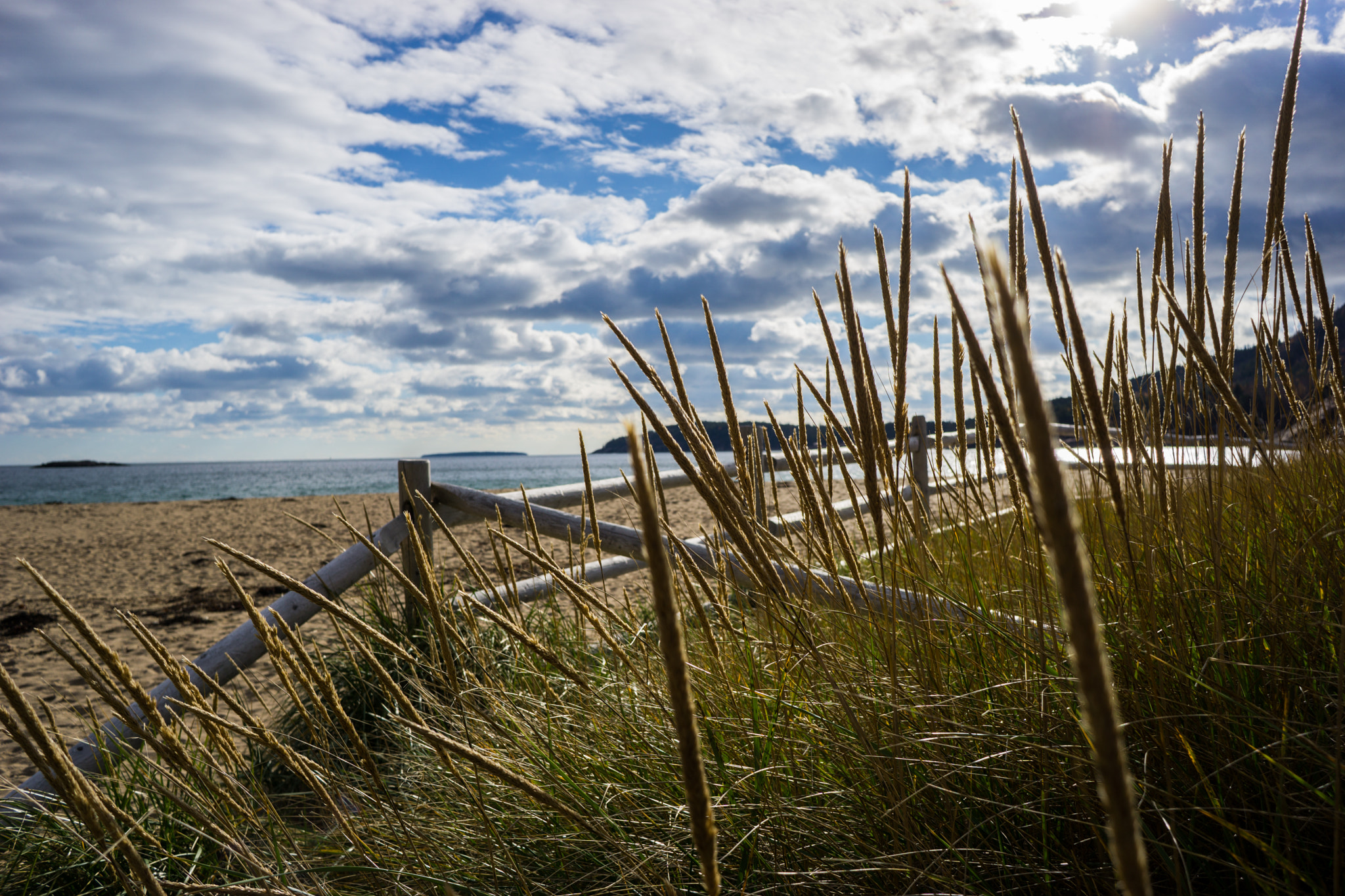 Sony E 20mm F2.8 sample photo. Beach day photography