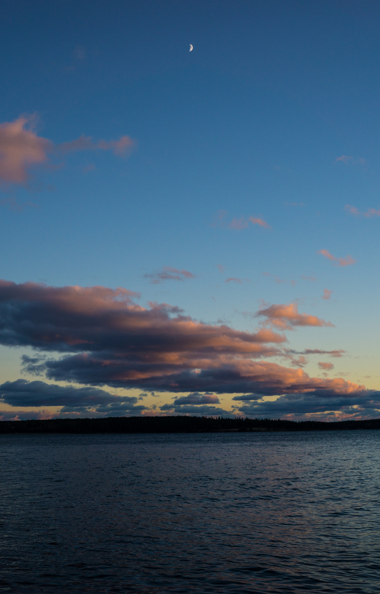 Sony E 20mm F2.8 sample photo. Moonlight photography