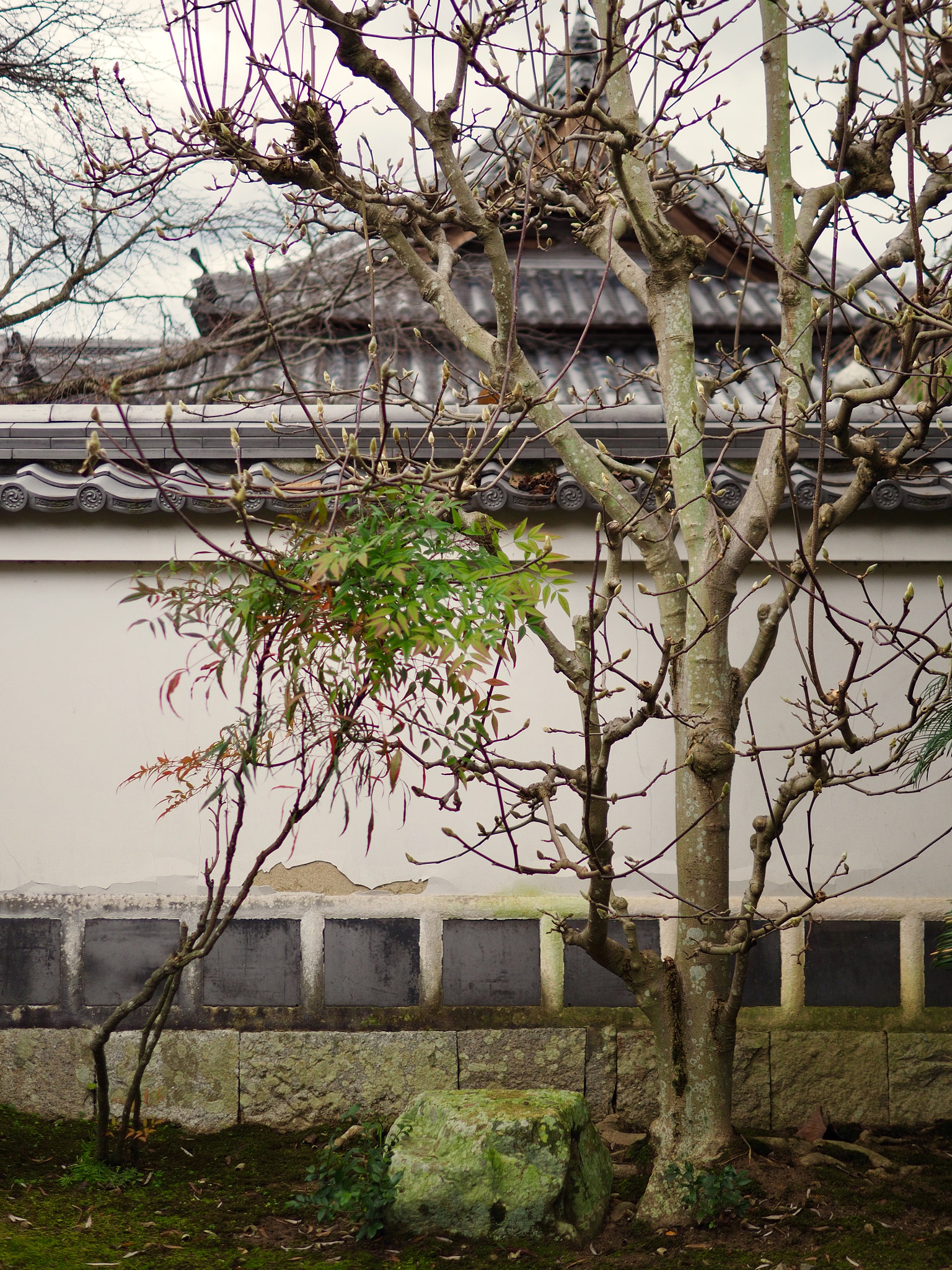 Olympus OM-D E-M5 II + Panasonic Leica DG Summilux 25mm F1.4 II ASPH sample photo. At the shrine photography