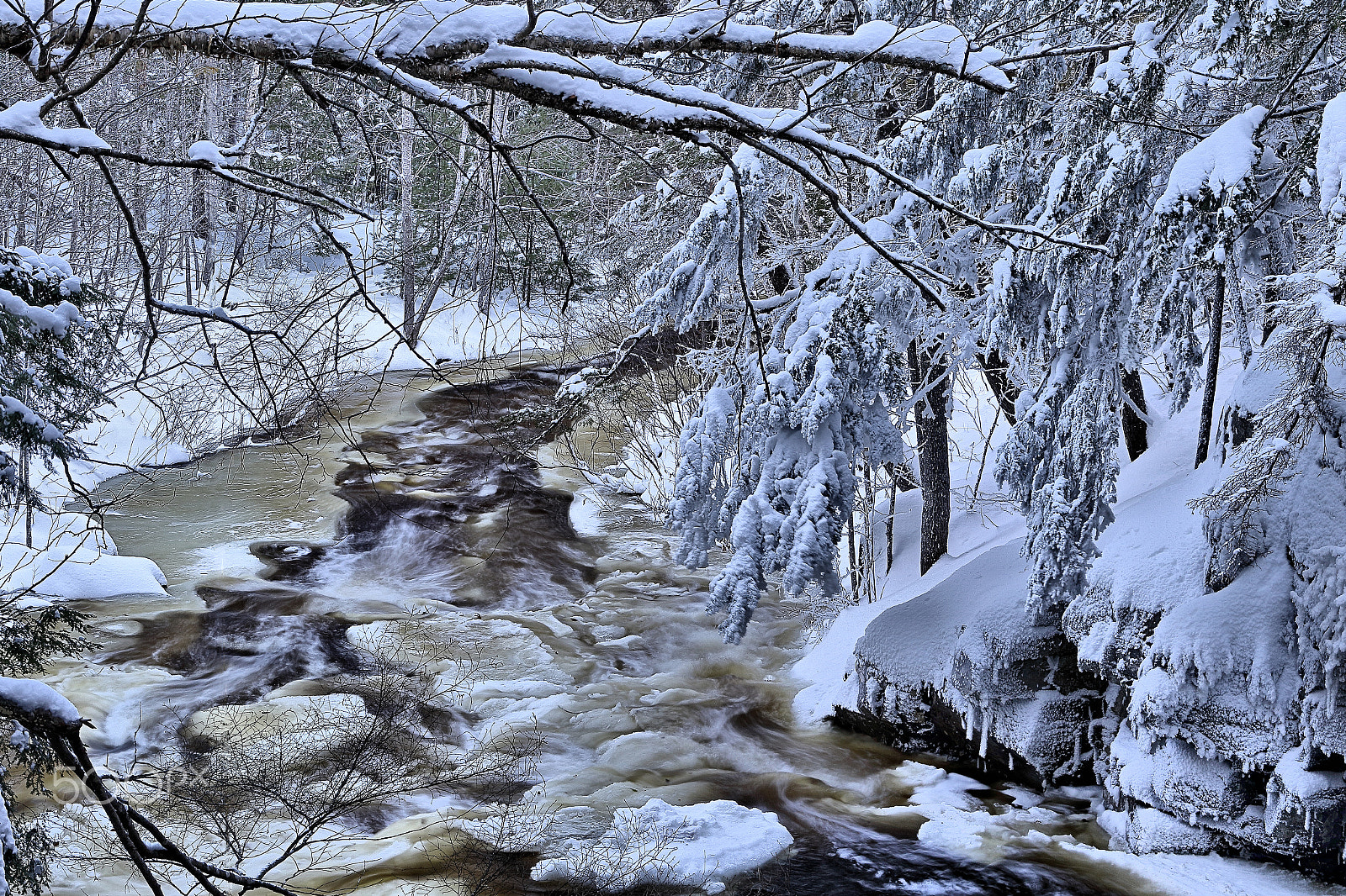 Canon EOS 7D Mark II + Canon EF 24-105mm F3.5-5.6 IS STM sample photo. Maple brook on a cold winter's day photography