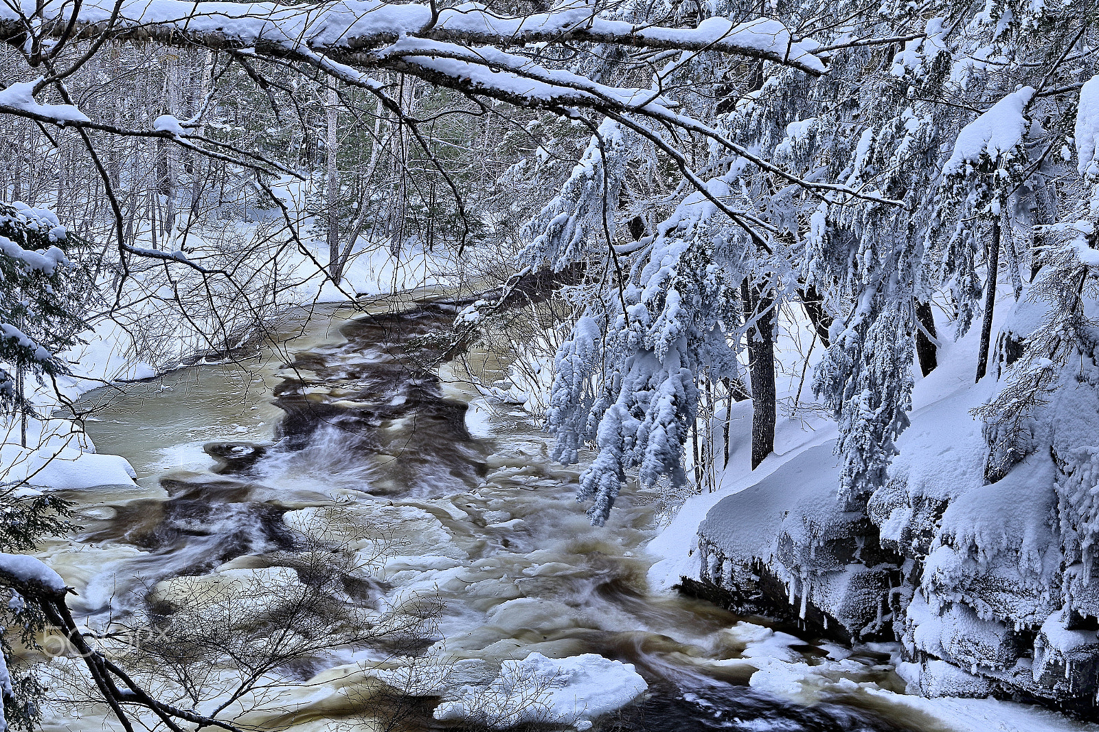 Canon EF 24-105mm F3.5-5.6 IS STM sample photo. Maple brook on a cold winter's day photography