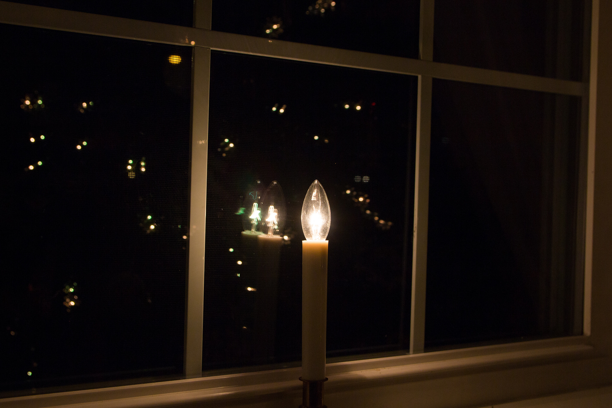 Canon EOS 650D (EOS Rebel T4i / EOS Kiss X6i) sample photo. Window lights: day 11/365 photography