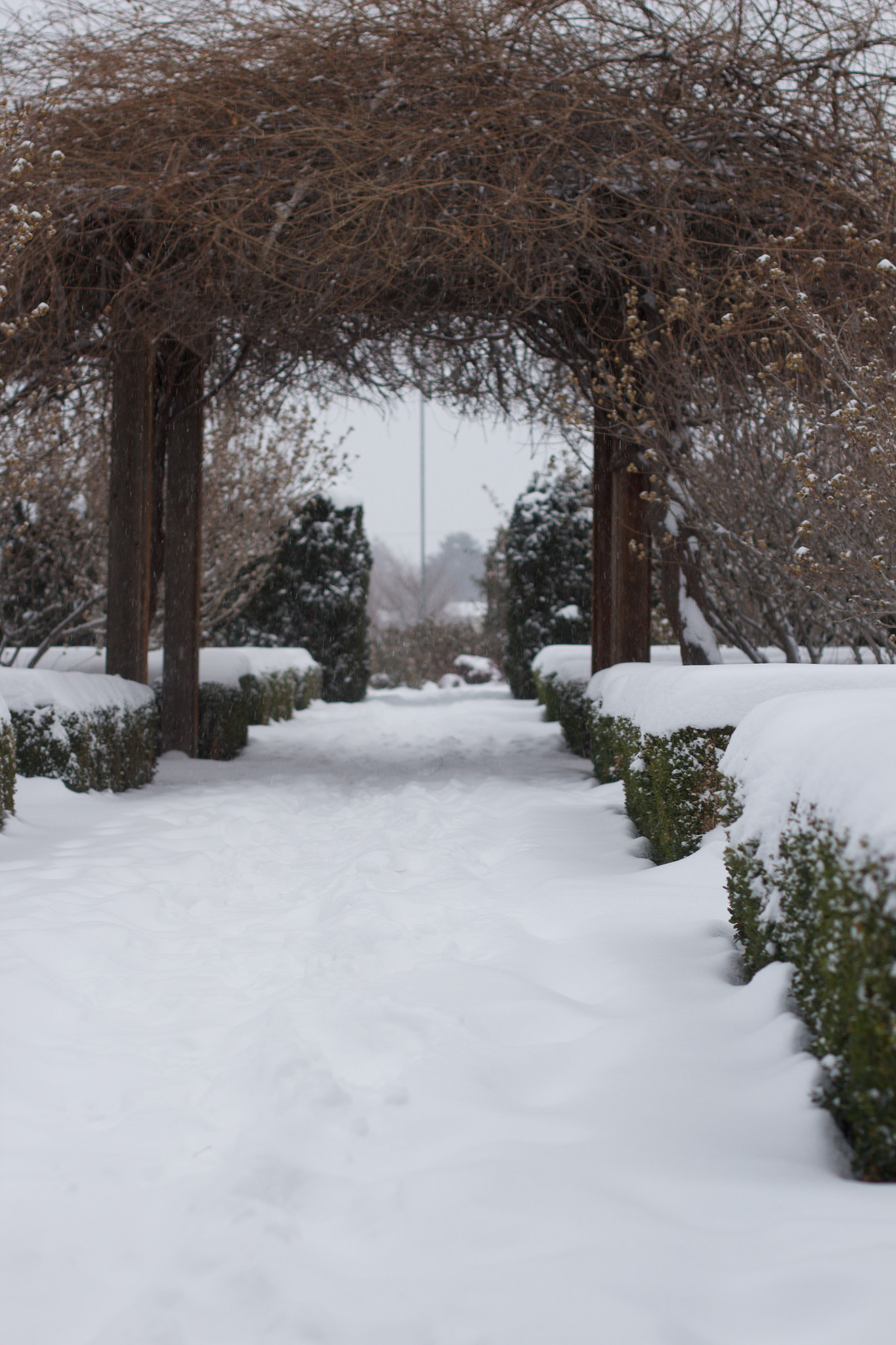 Canon EF 50mm F1.4 USM sample photo. Img photography