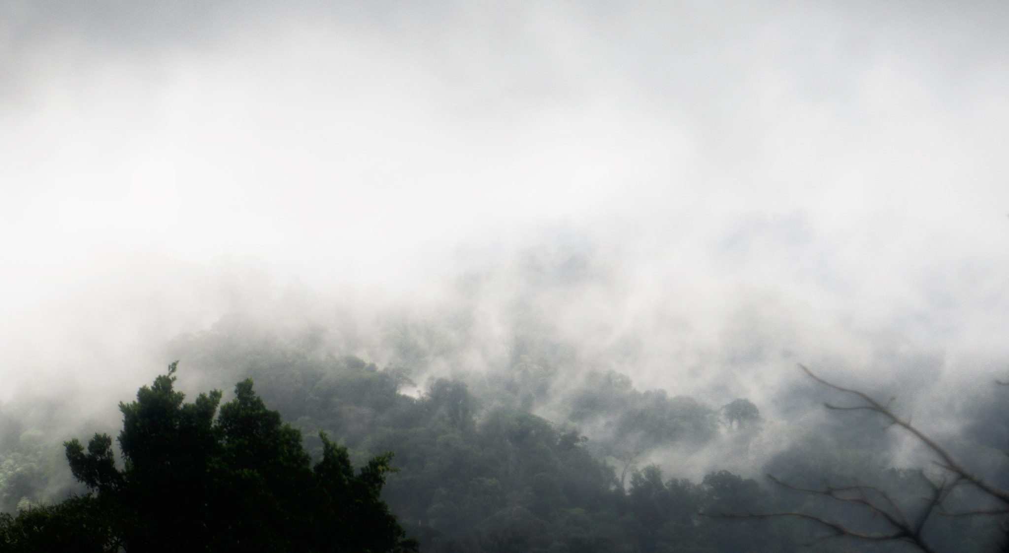 Sony E 18-200mm F3.5-6.3 OSS sample photo. Fog on arenal photography