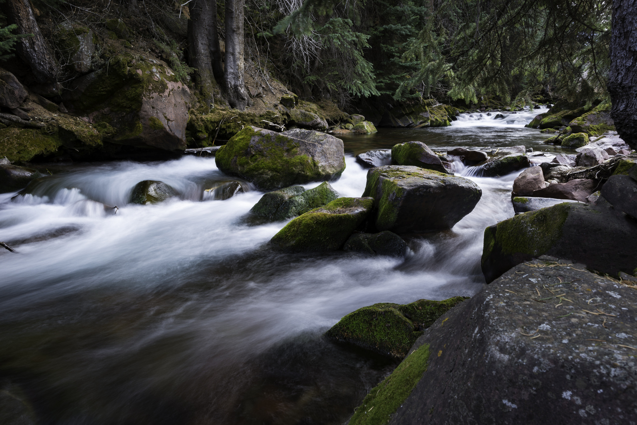 Nikon D600 + Samyang 12mm F2.8 ED AS NCS Fisheye sample photo. Maroon creek photography