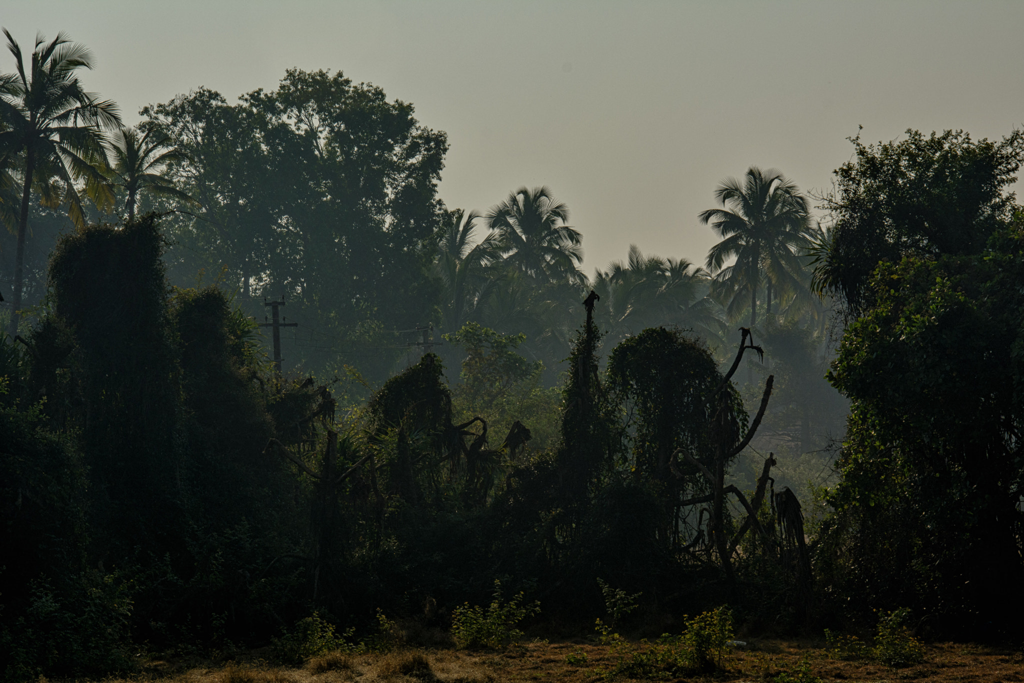 Sigma 28-300mm F3.5-6.3 DG Macro sample photo. Ghosts of morning photography