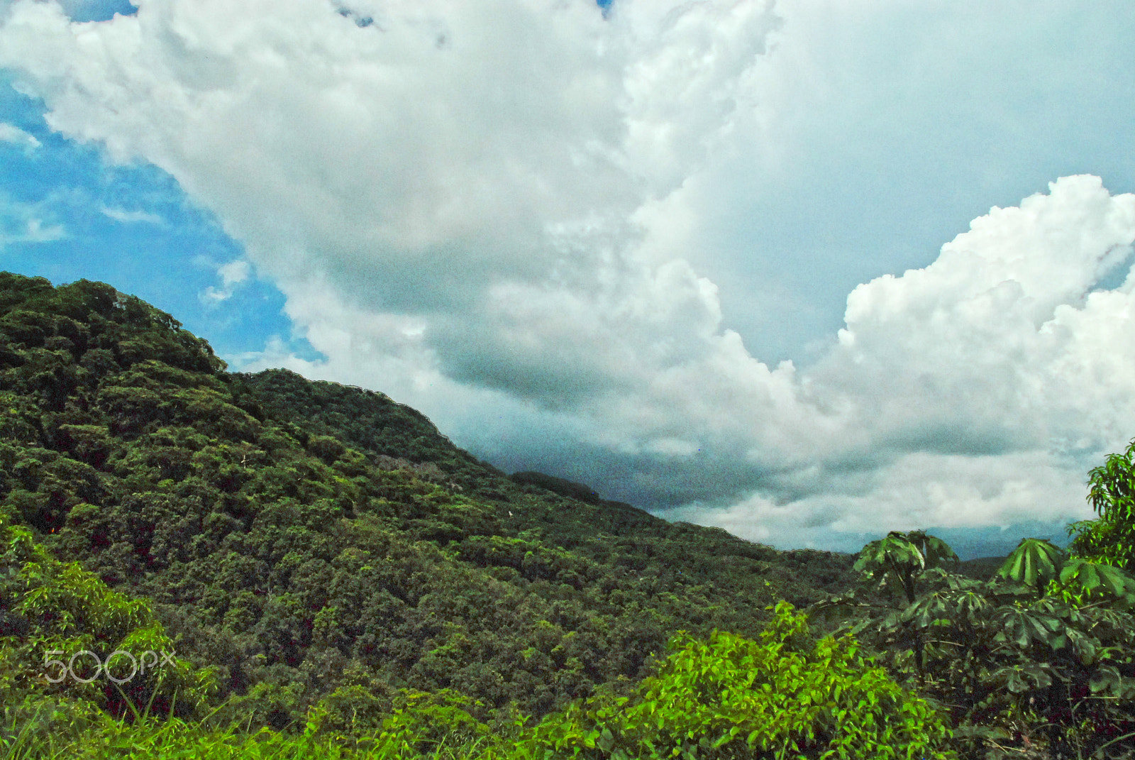 Nikon D200 sample photo. Mexican landscape photography