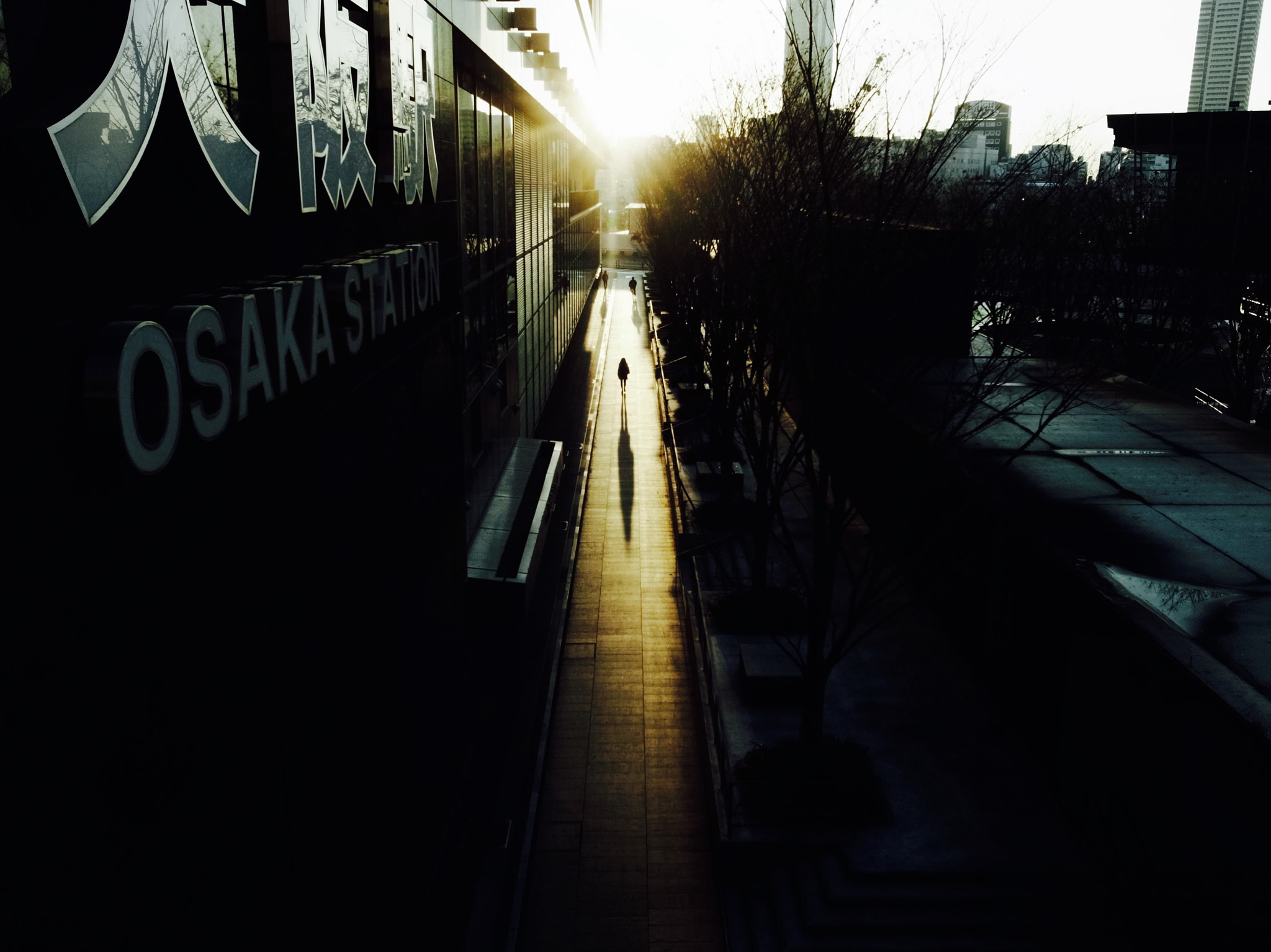 Ricoh GR DIGITAL 4 sample photo