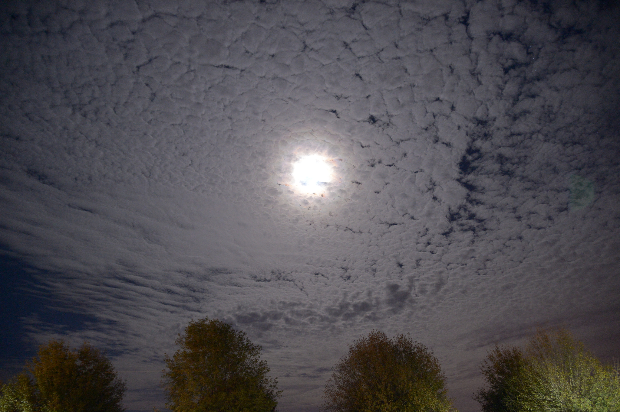 Nikon Df sample photo. Vortex moon photography