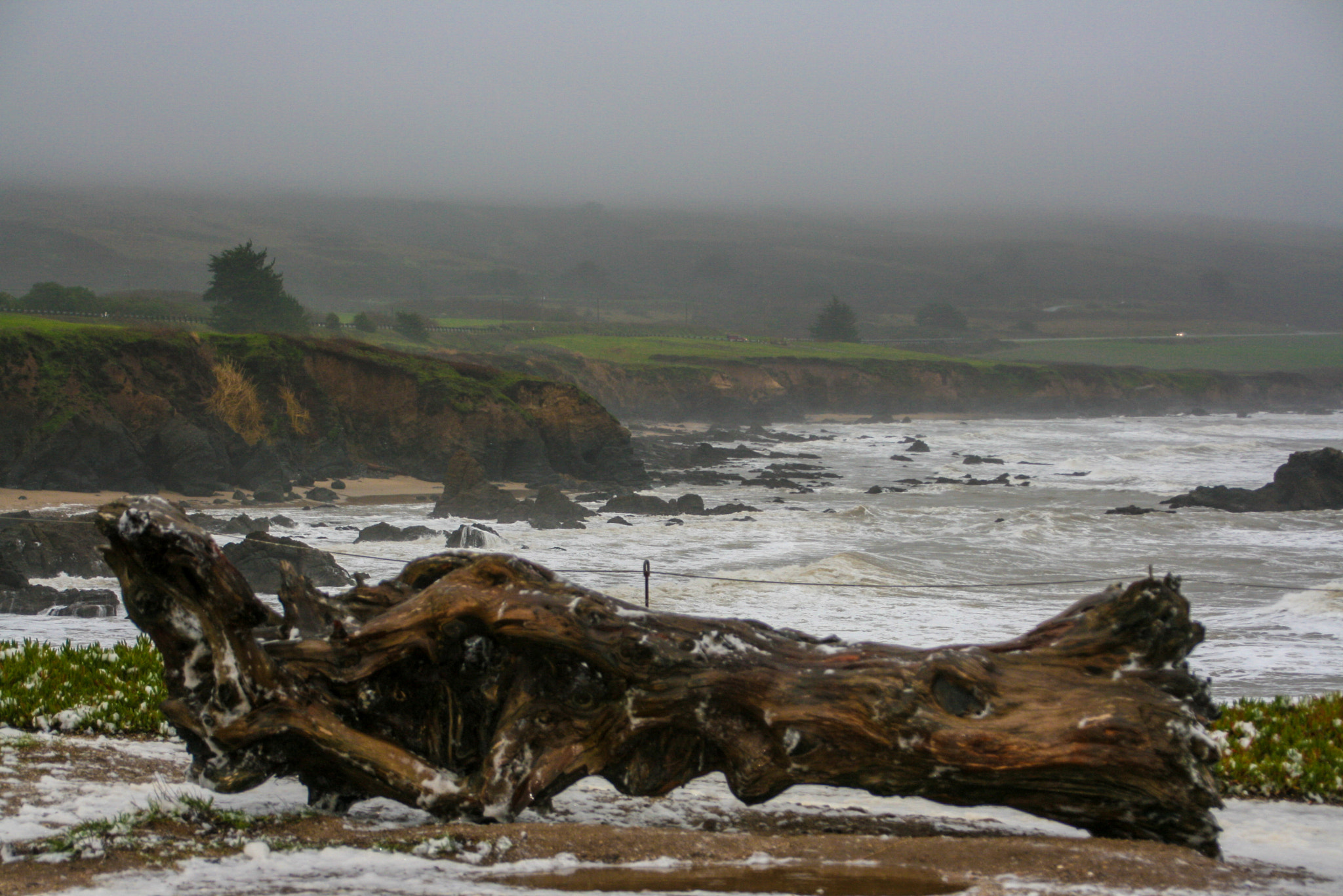 Canon TS-E 90mm F2.8 Tilt-Shift sample photo. Pescadero ca photography