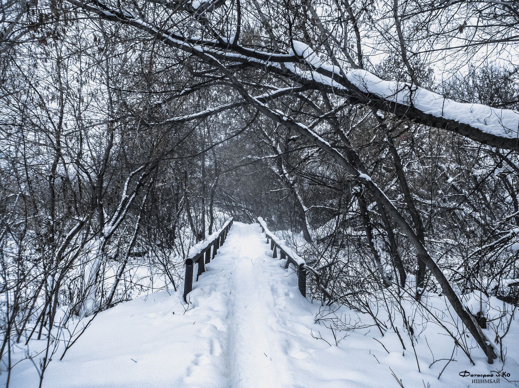 Fujifilm FinePix AX650 sample photo. Winter bridge photography