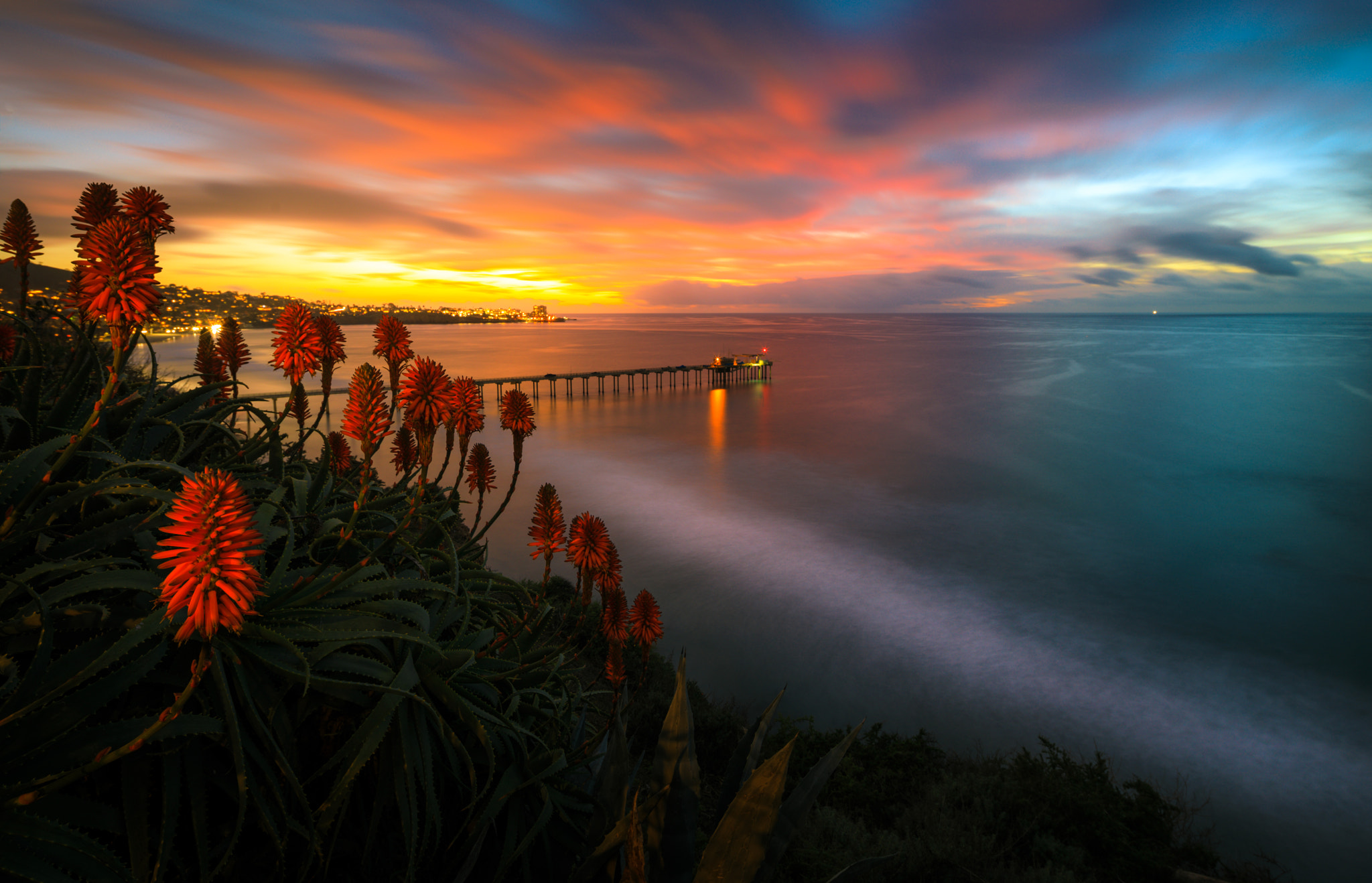 Canon TS-E 17mm F4L Tilt-Shift sample photo. Scripps pier overlook photography
