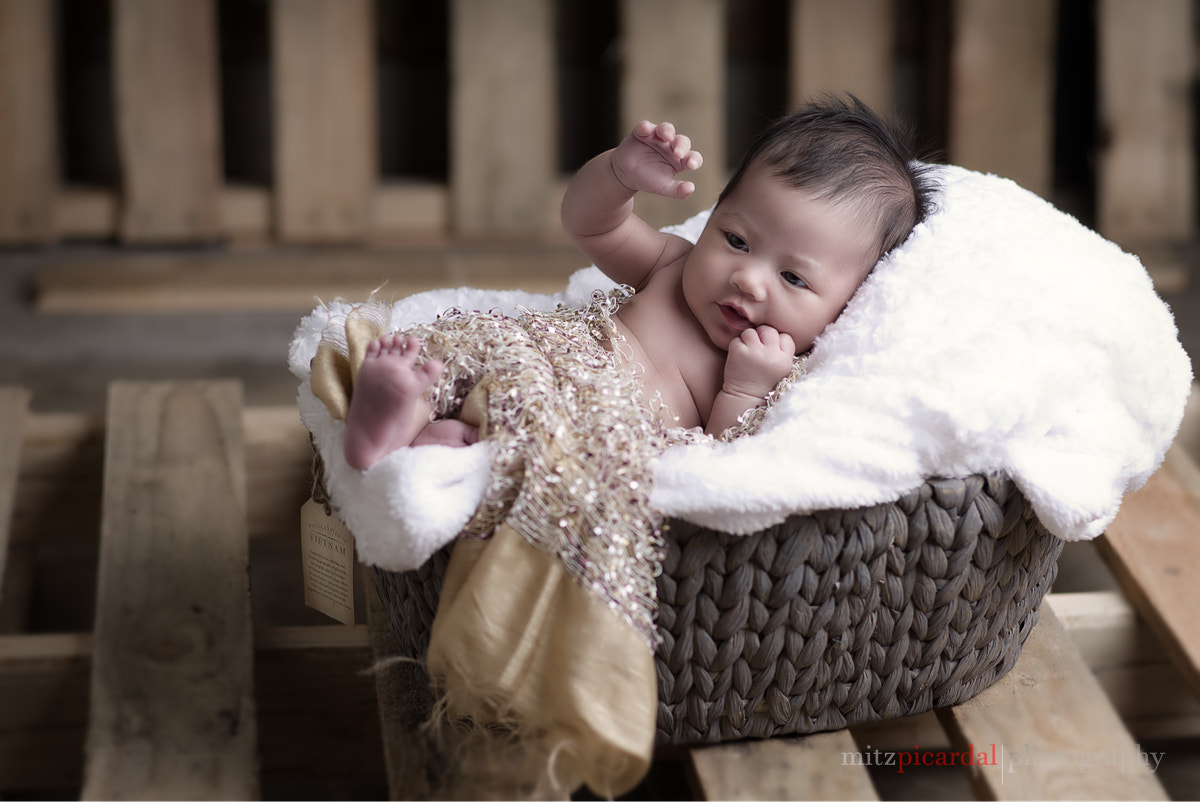 Pentax K-1 + Pentax smc FA 77mm 1.8 Limited sample photo. Arieann3 photography