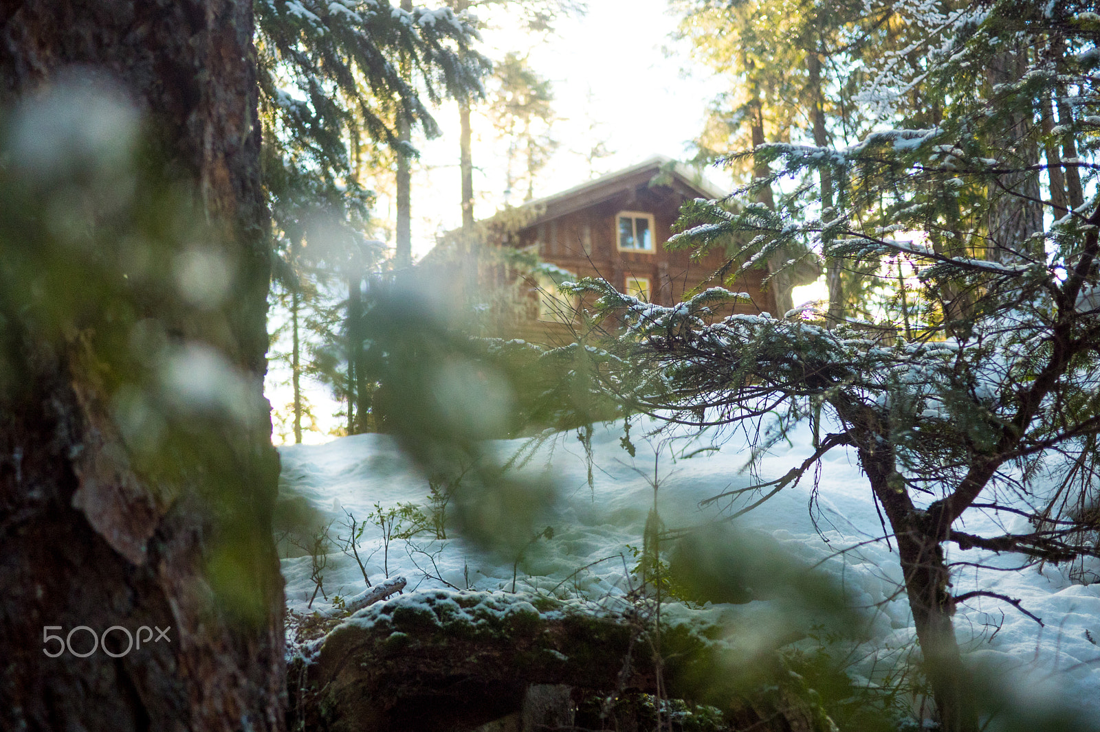 Panasonic Lumix DMC-GH4 + Panasonic Lumix G 20mm F1.7 ASPH sample photo. Cabin in the woods photography