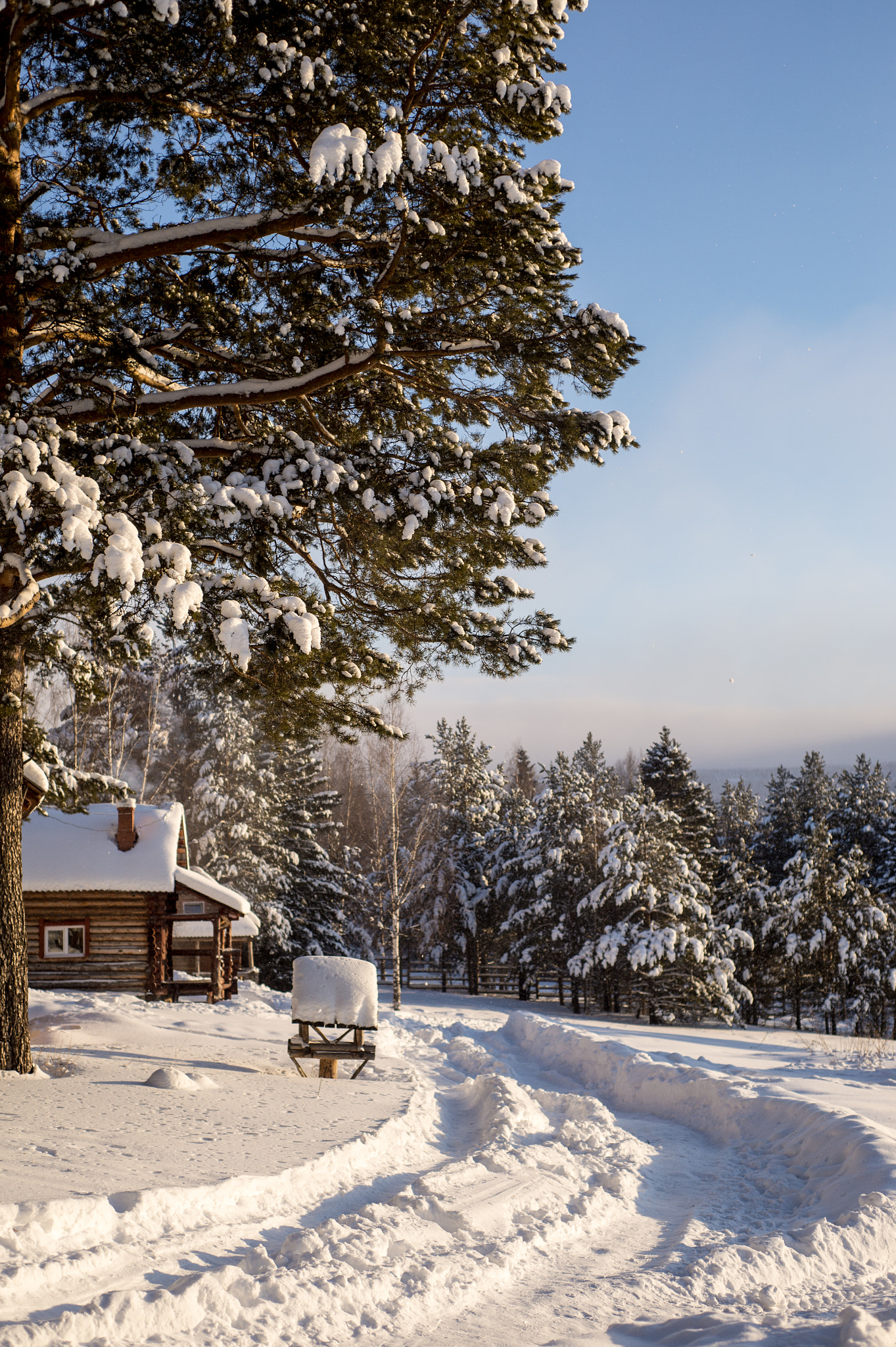 Nikon Df + Nikon AF Nikkor 50mm F1.8D sample photo. Zuratkul park, south ural mountains photography