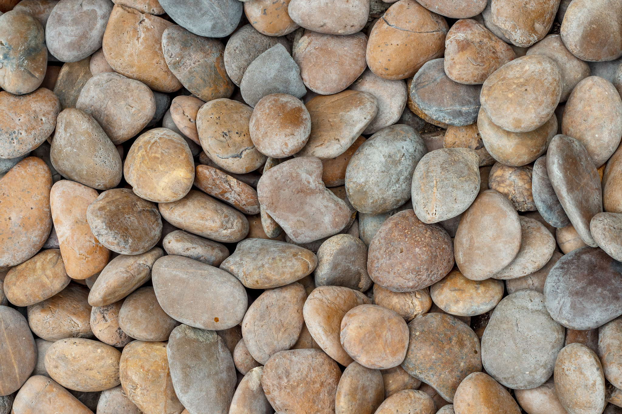 Canon EOS 600D (Rebel EOS T3i / EOS Kiss X5) sample photo. Brown stone background. photography