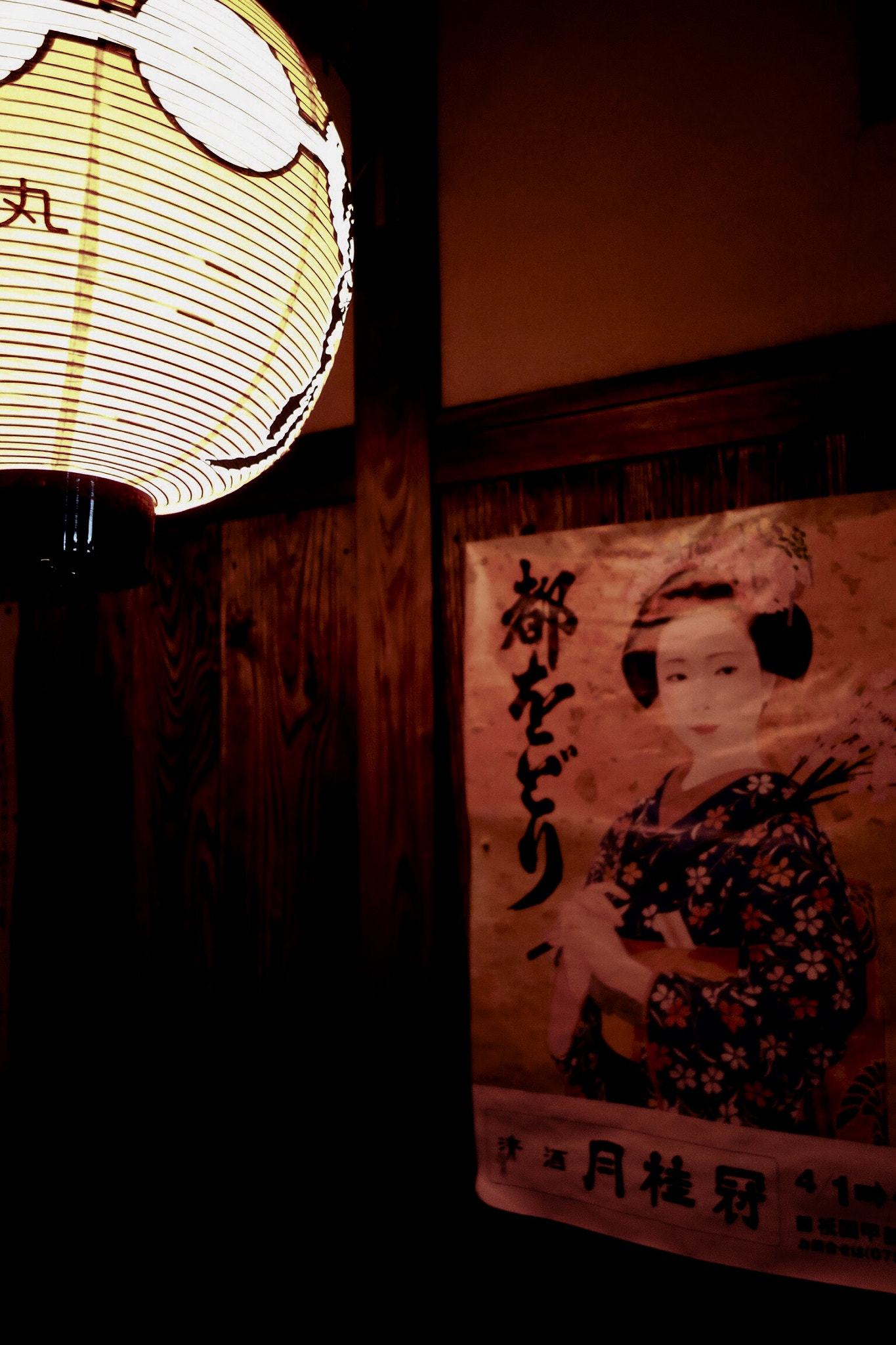 Sony Cyber-shot DSC-RX100 + Sony 28-100mm F1.8-4.9 sample photo. Geisha japan photography