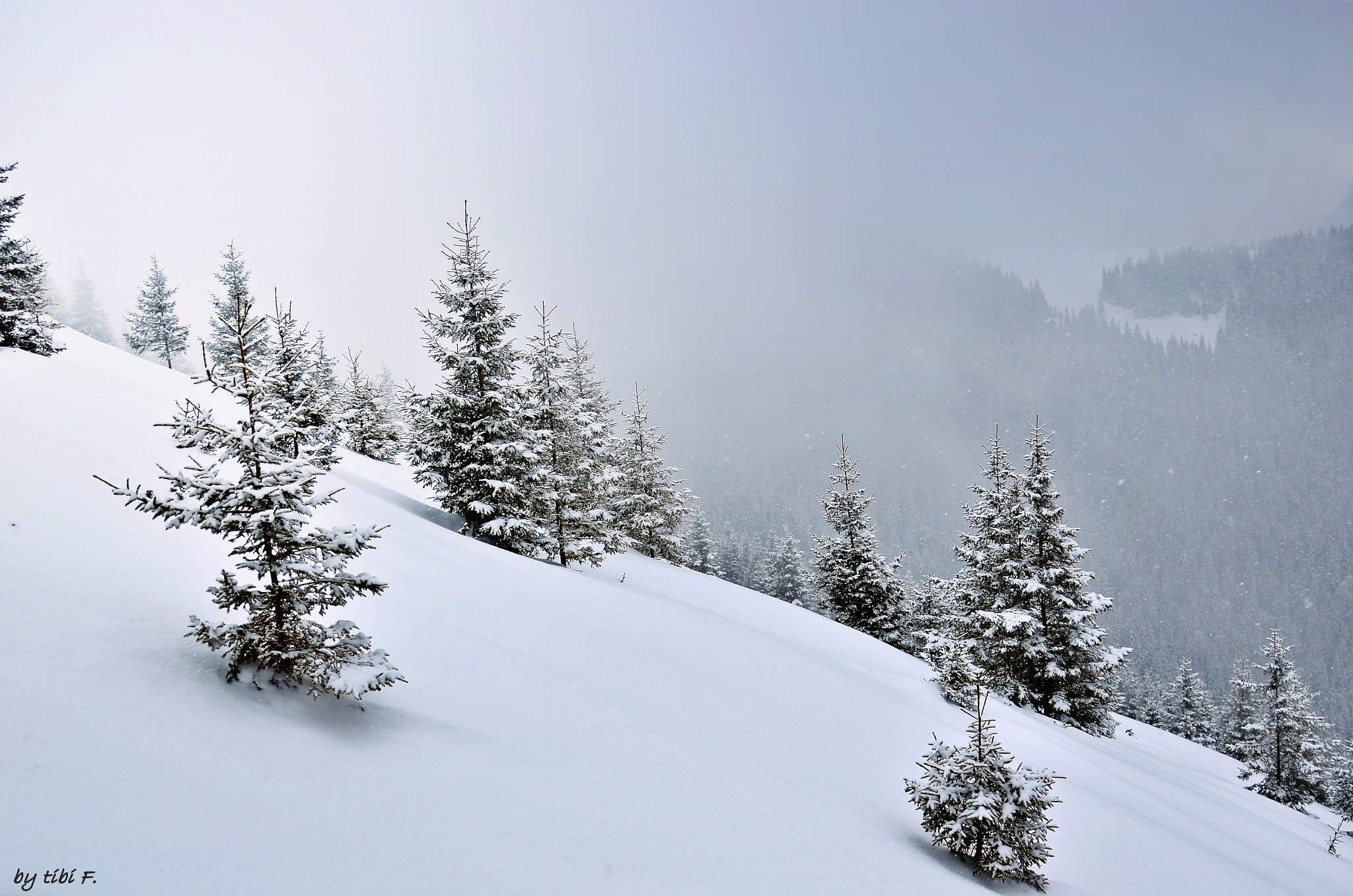 Nikon AF-S Nikkor 24-120mm F4G ED VR sample photo. Cold, cold..... but beautiful photography