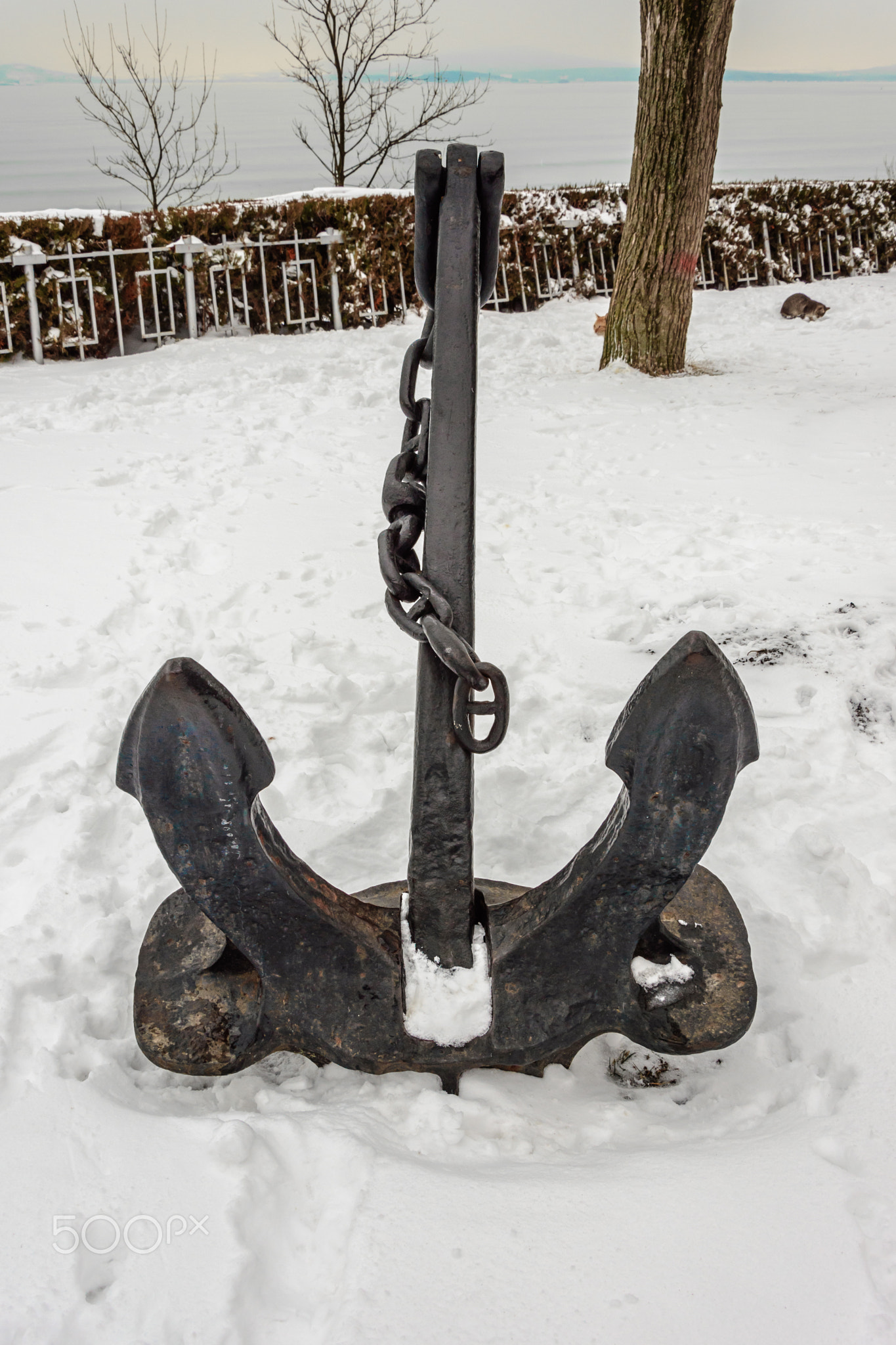 Anchor in snow