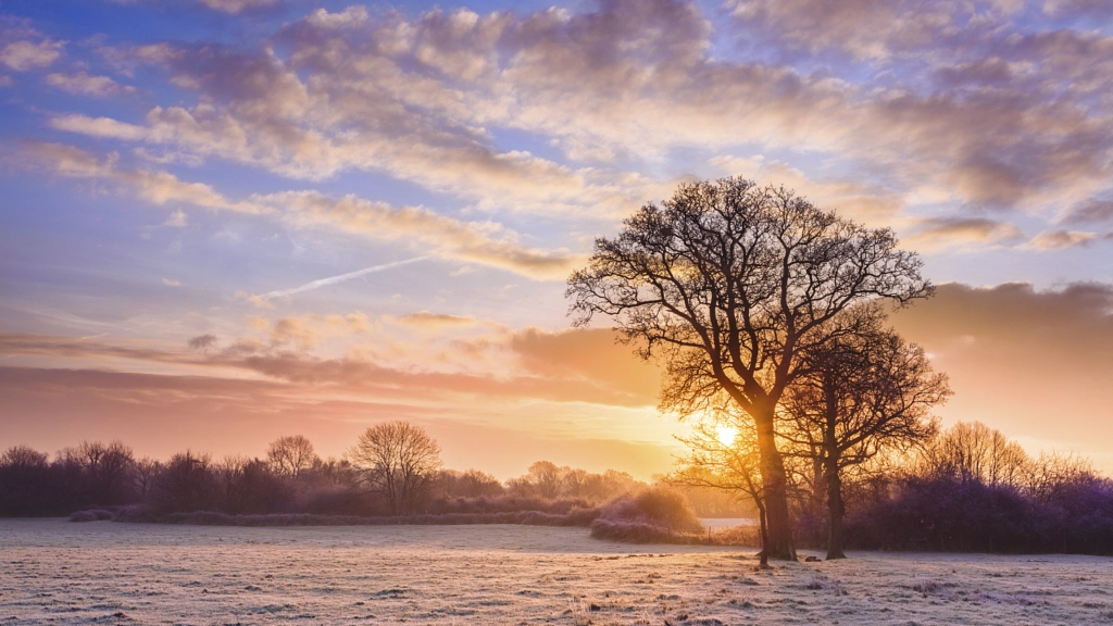 Winterise by Antony Cooper on 500px.com