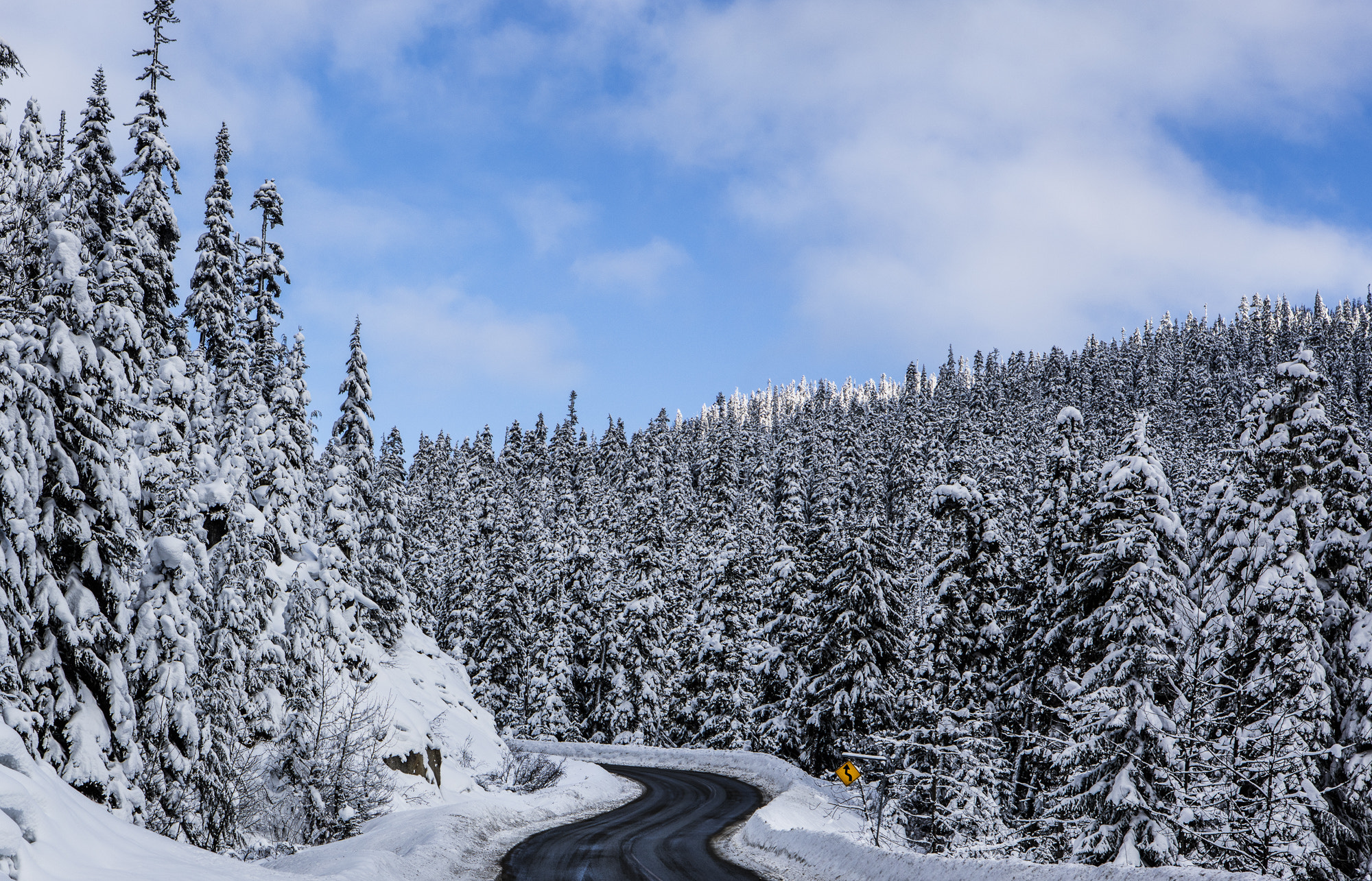 Canon EOS 5DS R sample photo. Winding winter backroad way past whistler photography