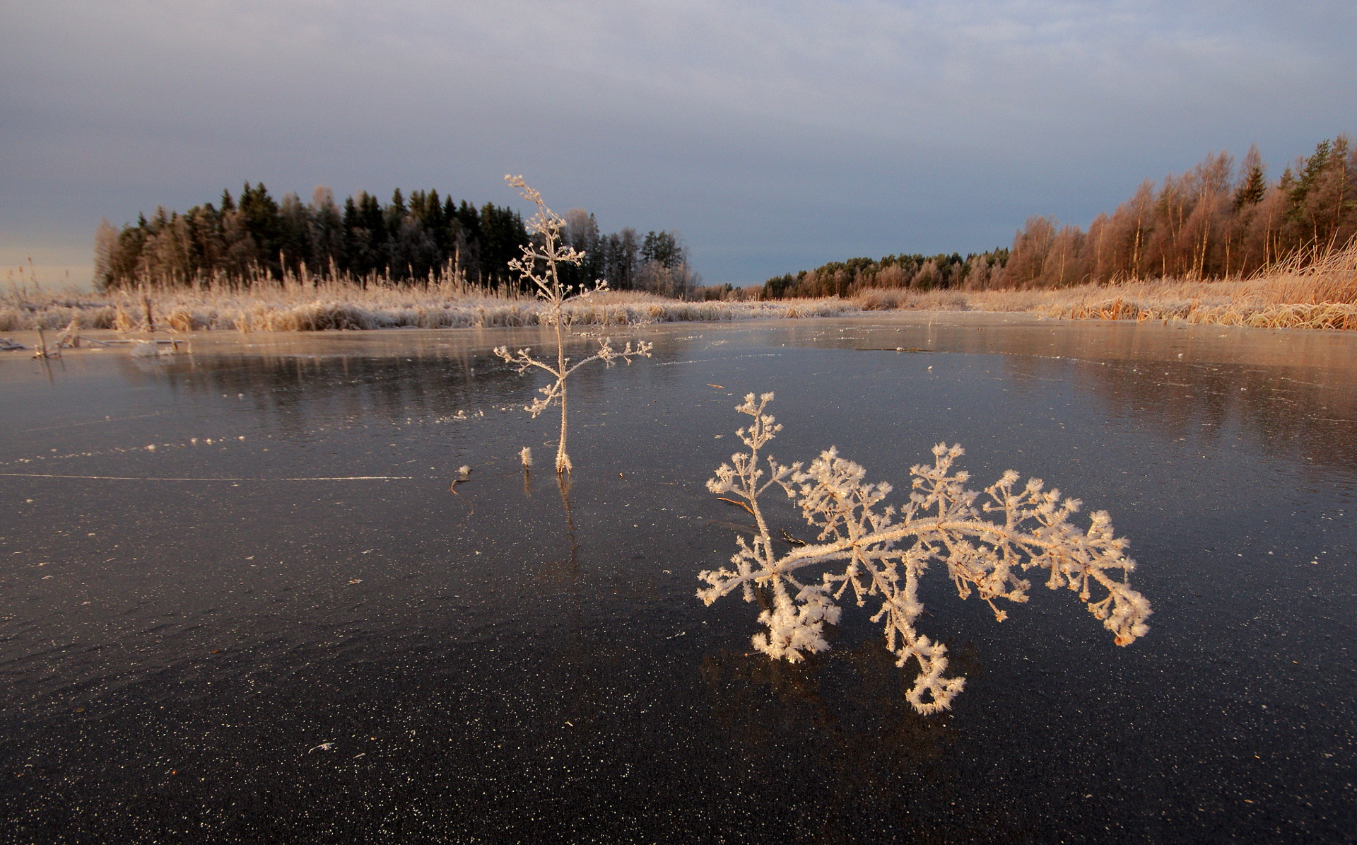 Sigma AF 10-20mm F4-5.6 EX DC sample photo. Alisma photography