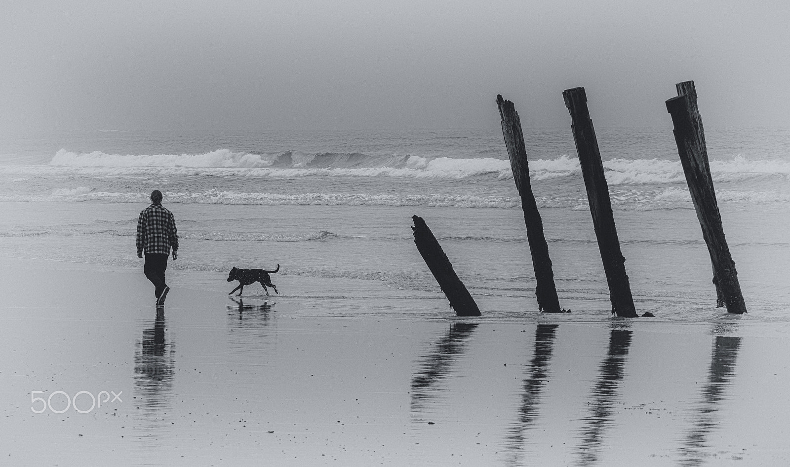 Panasonic Lumix DMC-GH4 + LEICA DG 100-400/F4.0-6.3 sample photo. Walking the dog st clair photography