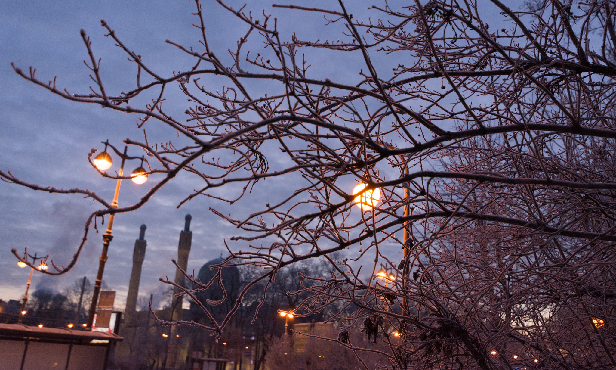 Sigma 10-20mm F4-5.6 EX DC HSM sample photo. A cold morning photography
