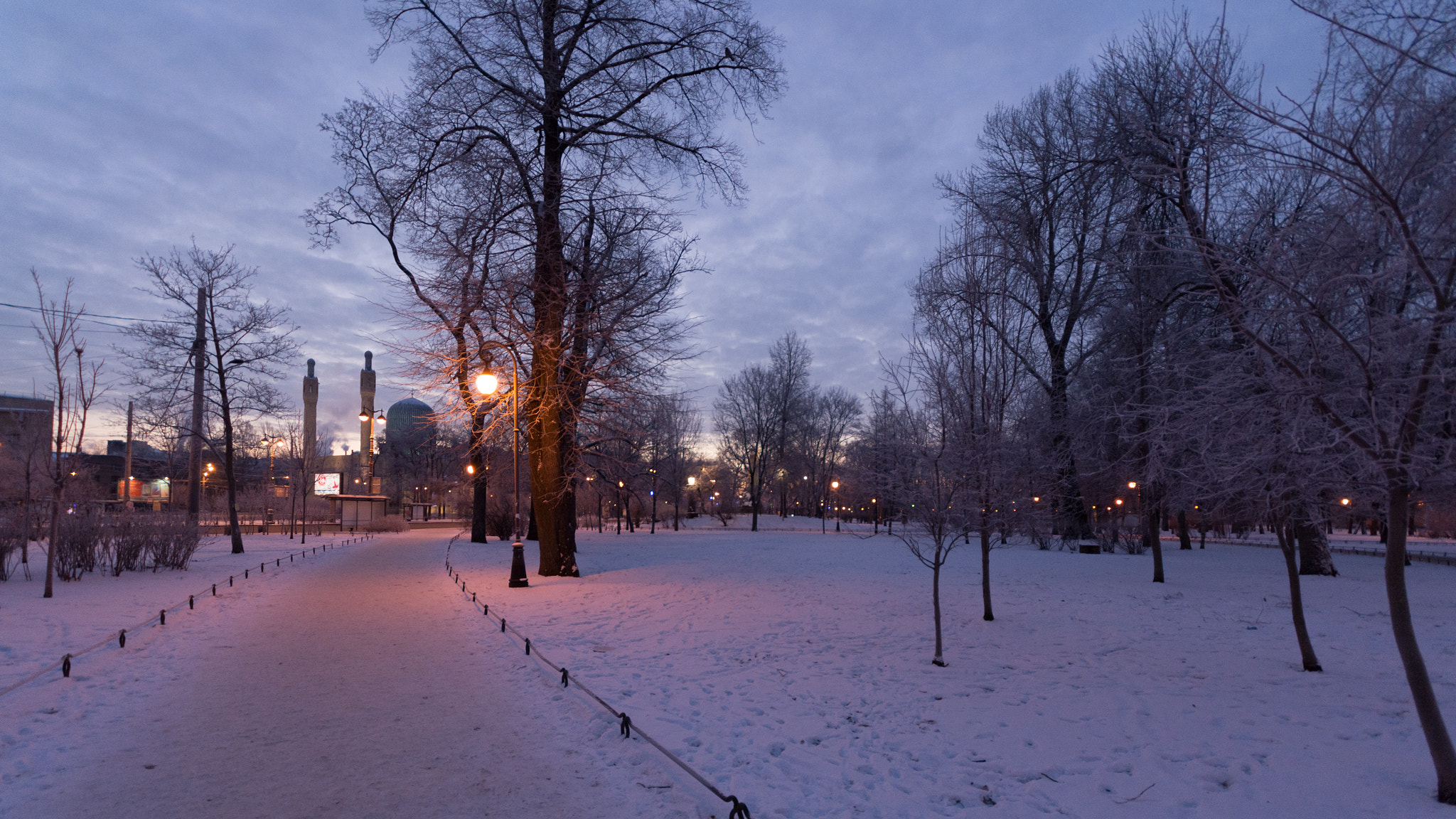 Sigma 10-20mm F4-5.6 EX DC HSM sample photo. Winter park photography