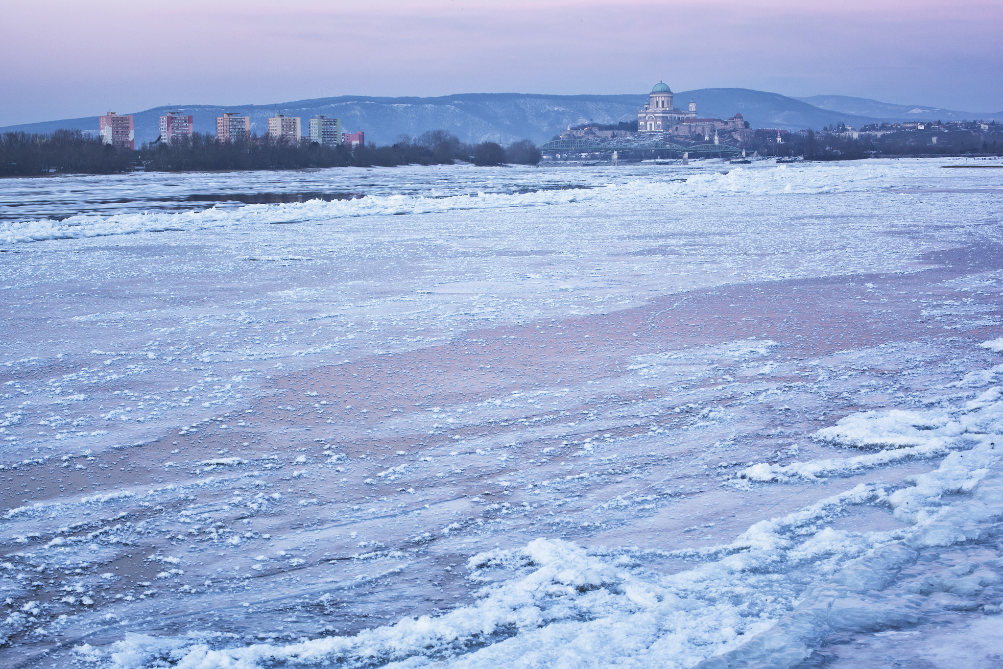 Canon EOS 5D Mark II + Tamron SP 35mm F1.8 Di VC USD sample photo. Icy pink photography