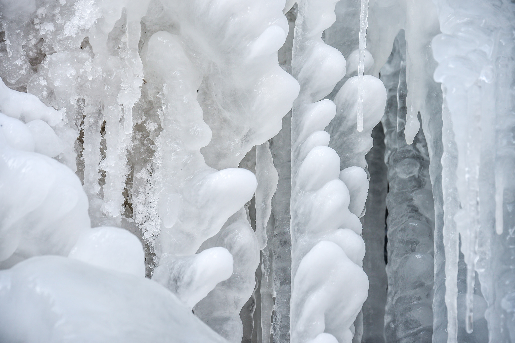 Nikon D4S + Tamron SP 70-200mm F2.8 Di VC USD sample photo. Lithuania winter photography