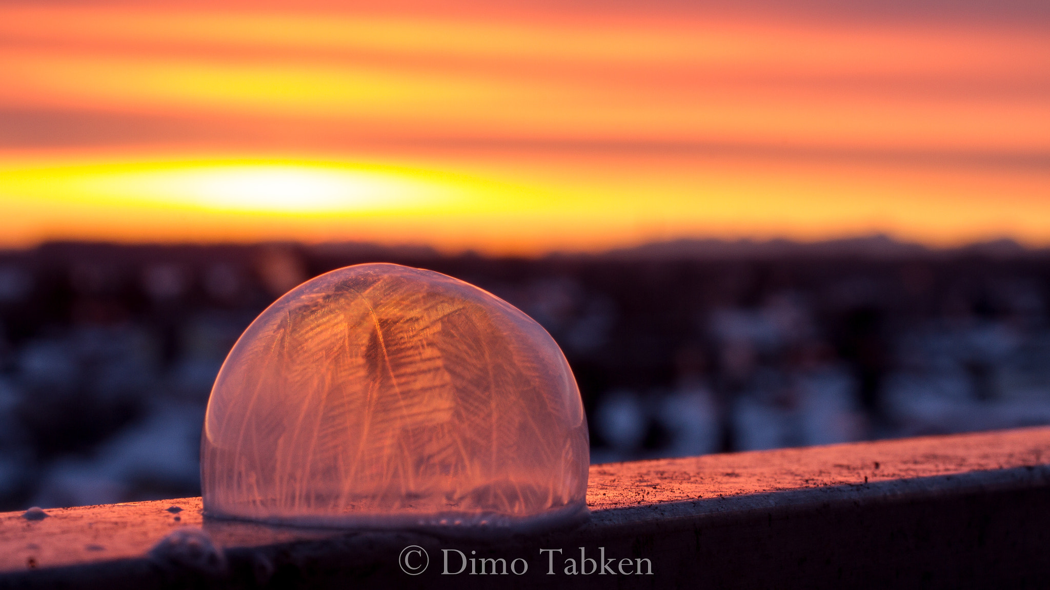 Sigma 50mm f/2.8 EX sample photo. Frozen bubble photography