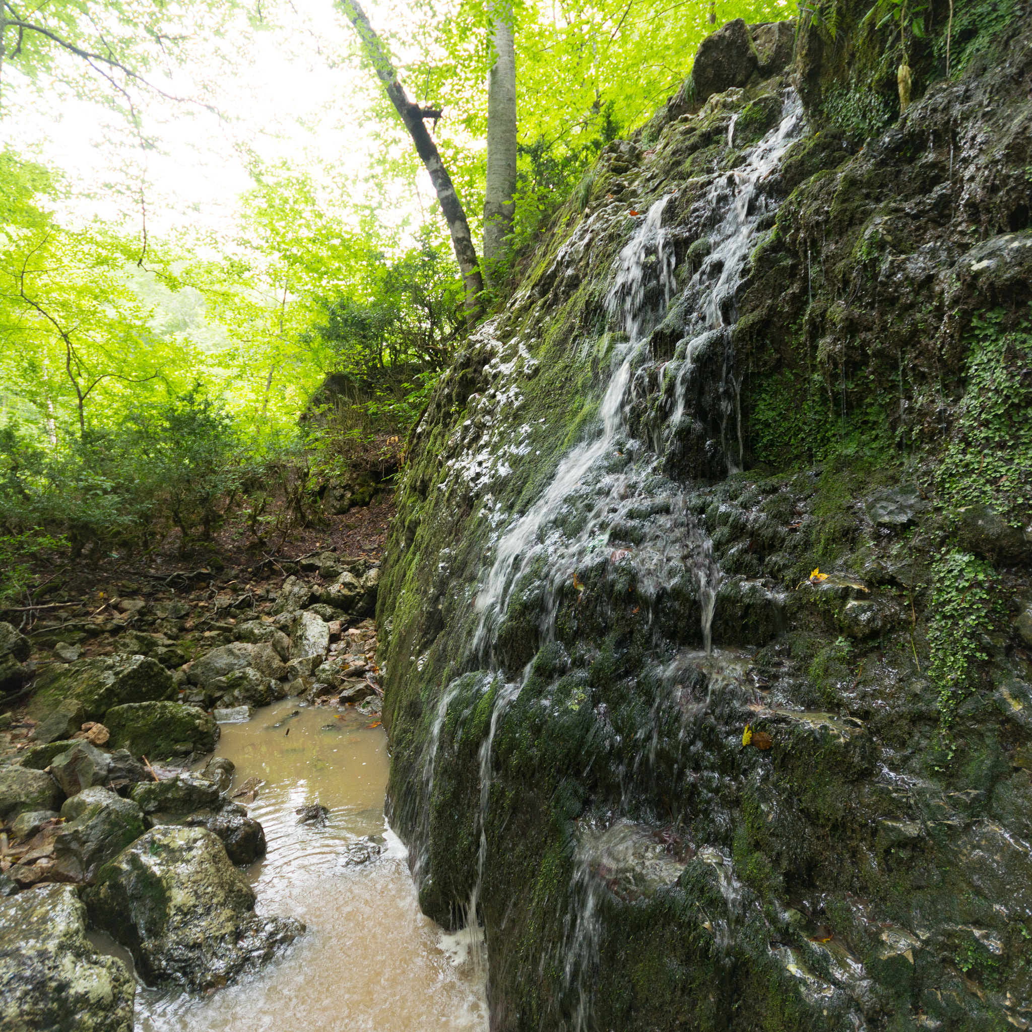 Sigma 10-20mm F4-5.6 EX DC HSM sample photo. Vertical stream photography