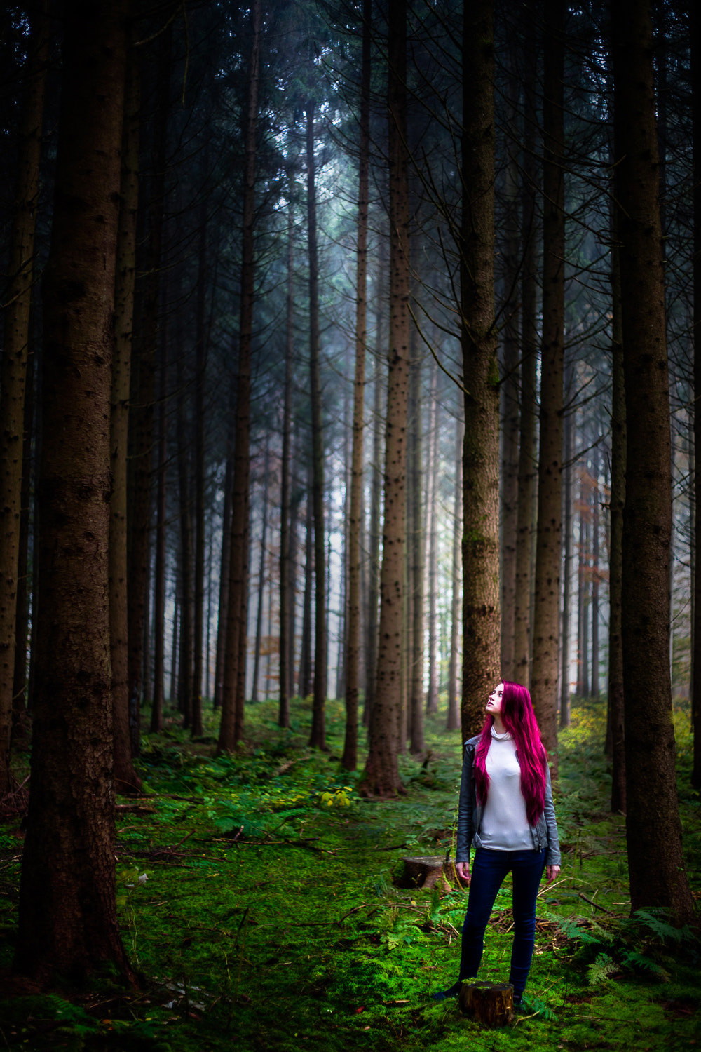 Canon EF 50mm F1.8 II sample photo. Sunbeam photography
