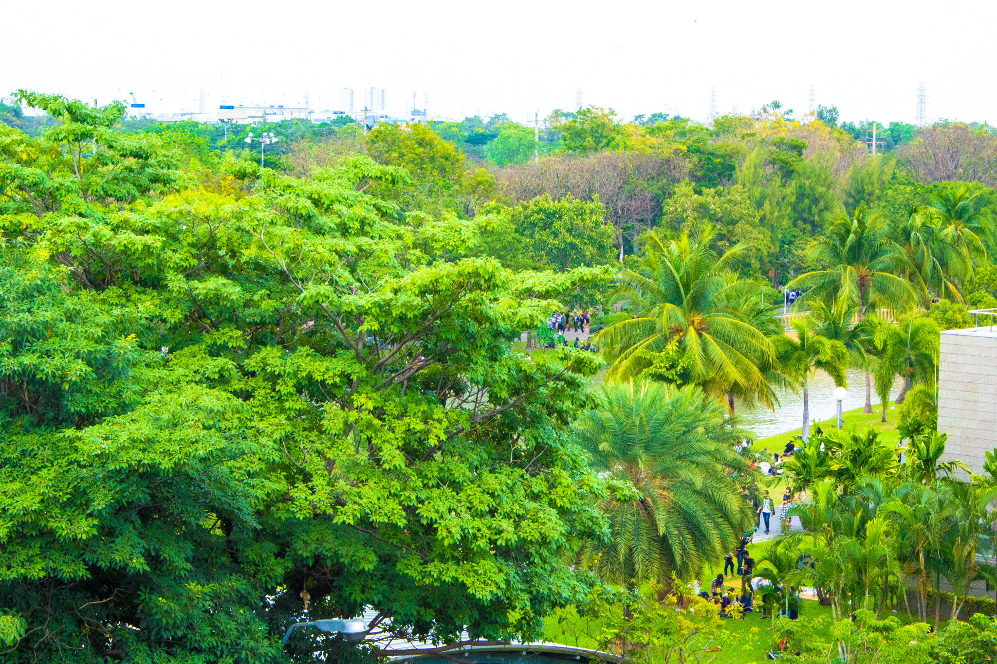 Canon EF-S 18-55mm F3.5-5.6 III sample photo. Chatuchak park photography
