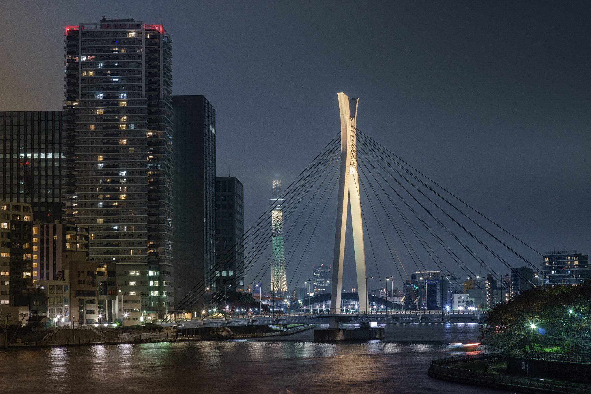 Tamron 18-270mm F3.5-6.3 Di II PZD sample photo. Misty sky tree photography