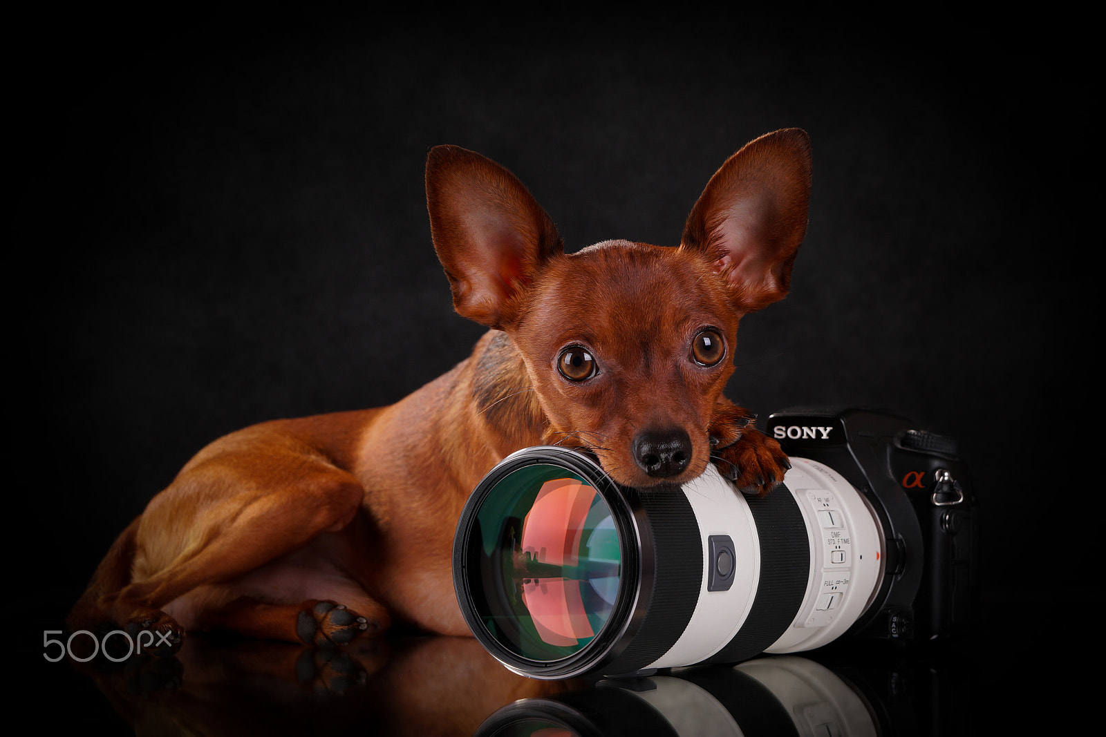 Sony Alpha a99 sample photo. My favorite toys photography