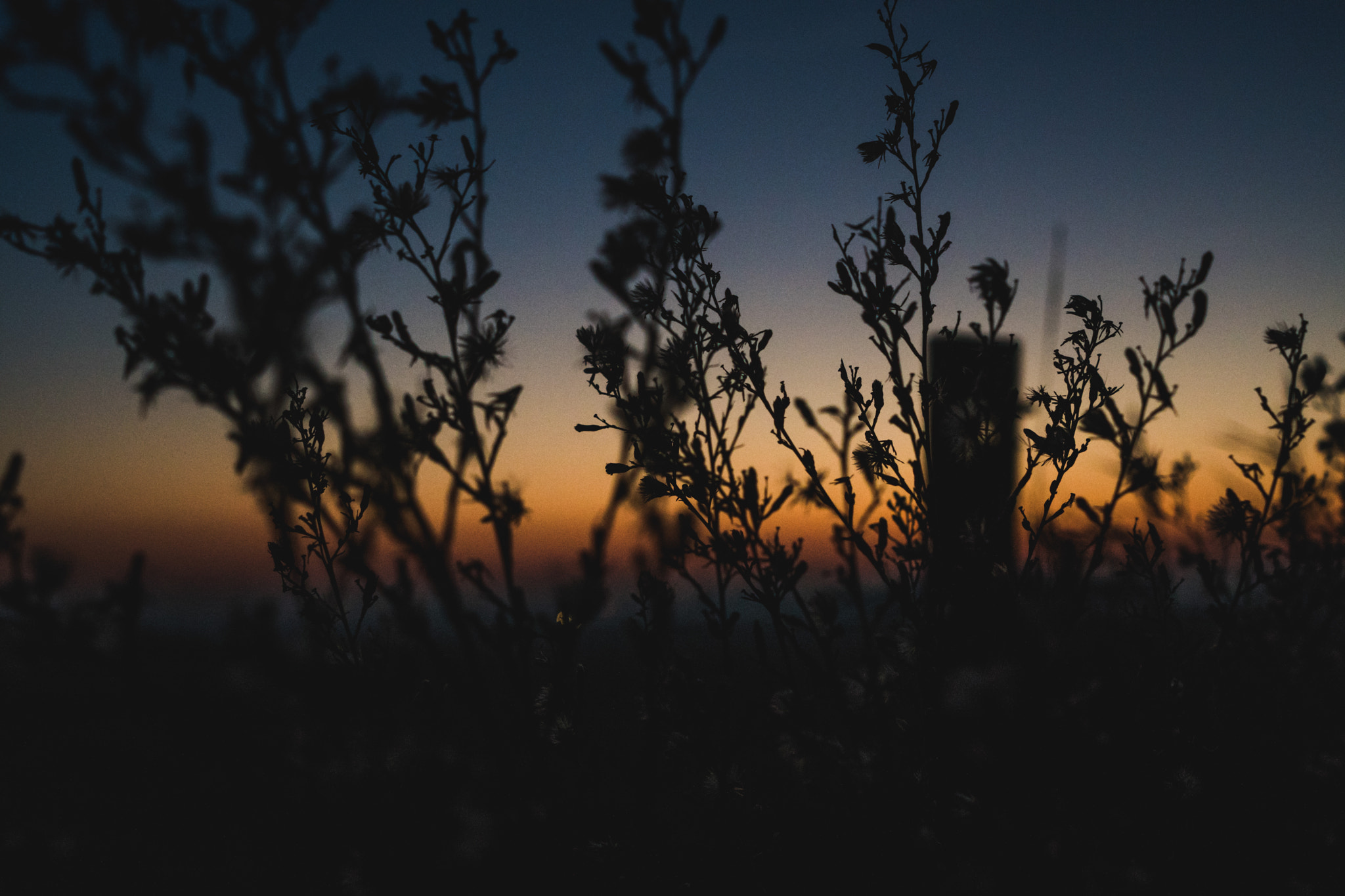 Sony a6300 + Sony FE 28mm F2 sample photo. Holy sunset photography