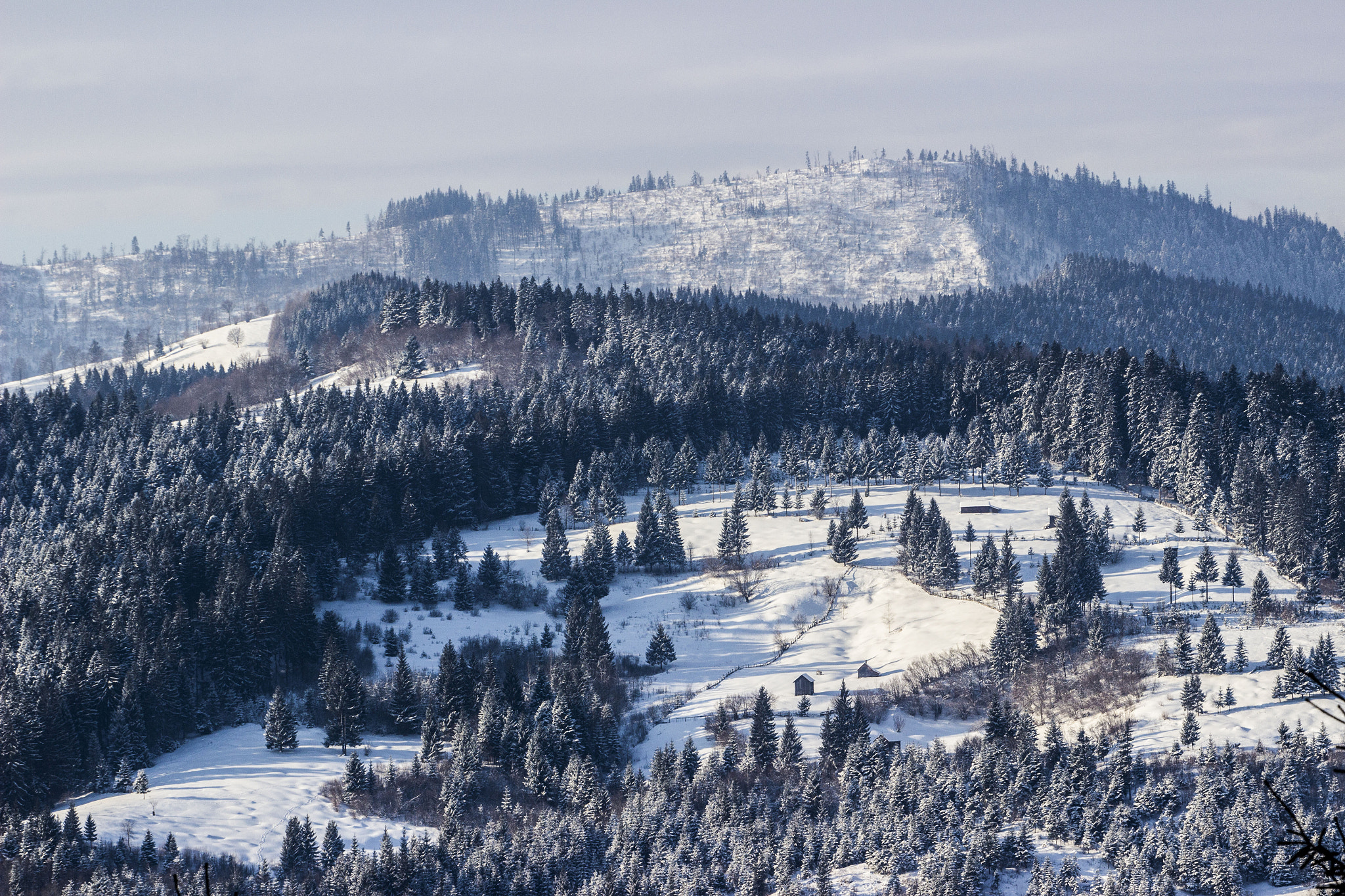 Canon EOS 600D (Rebel EOS T3i / EOS Kiss X5) + Canon EF 70-200mm F4L USM sample photo. Bucovina romania photography