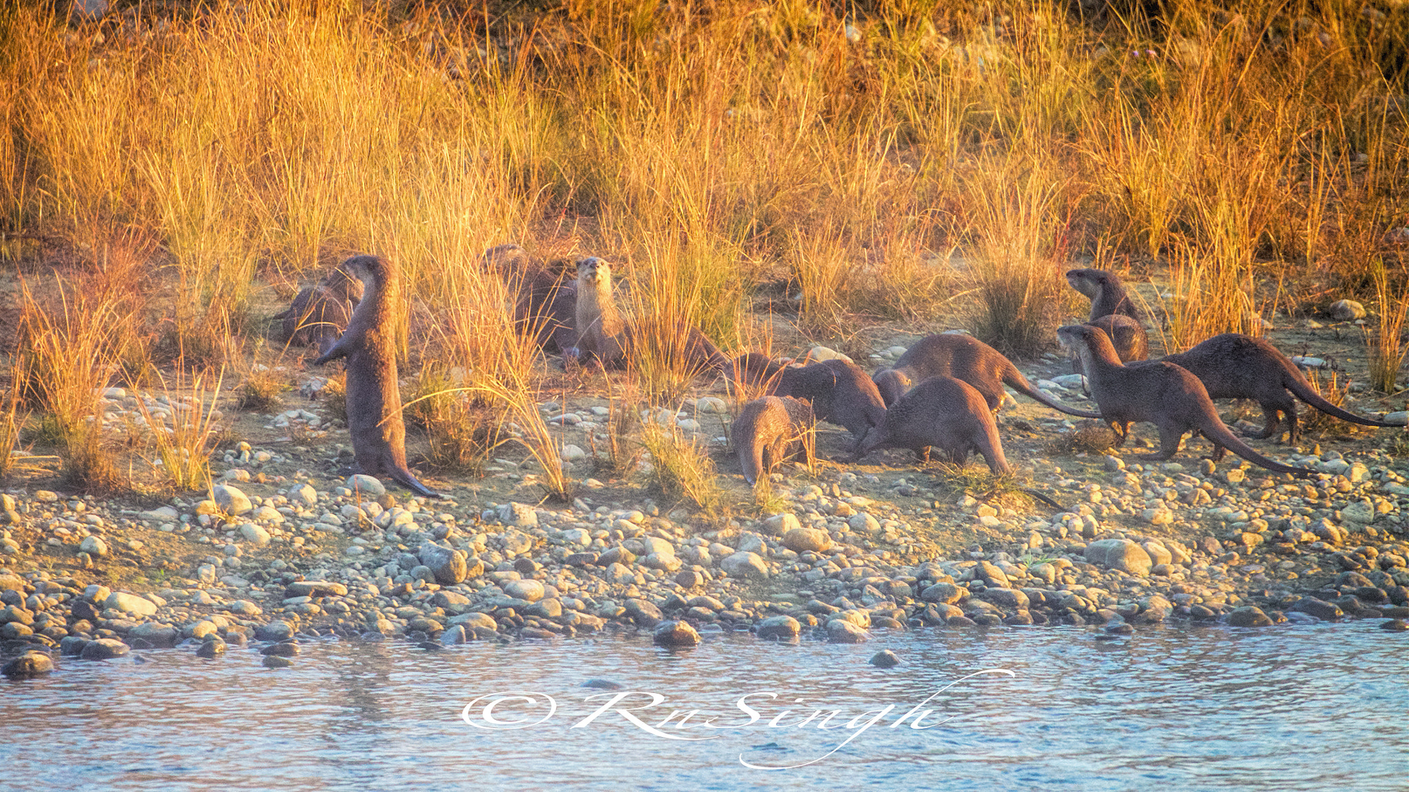Canon EF 600mm f/4L IS sample photo