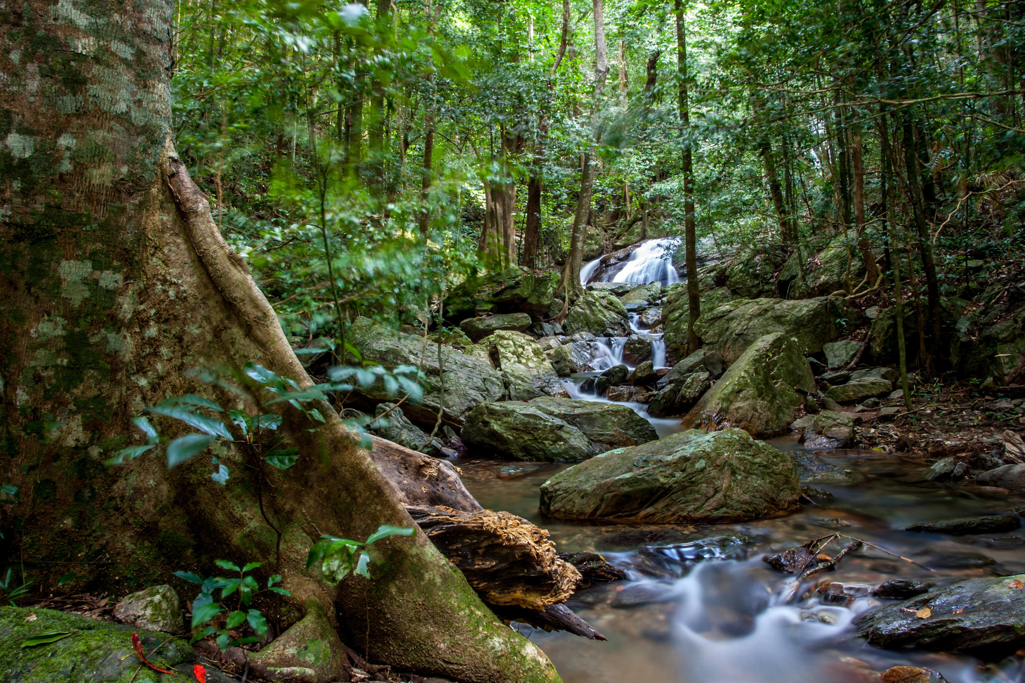 Canon EOS-1D Mark III + Tamron AF 19-35mm f/3.5-4.5 sample photo. Dmkjpg o photography