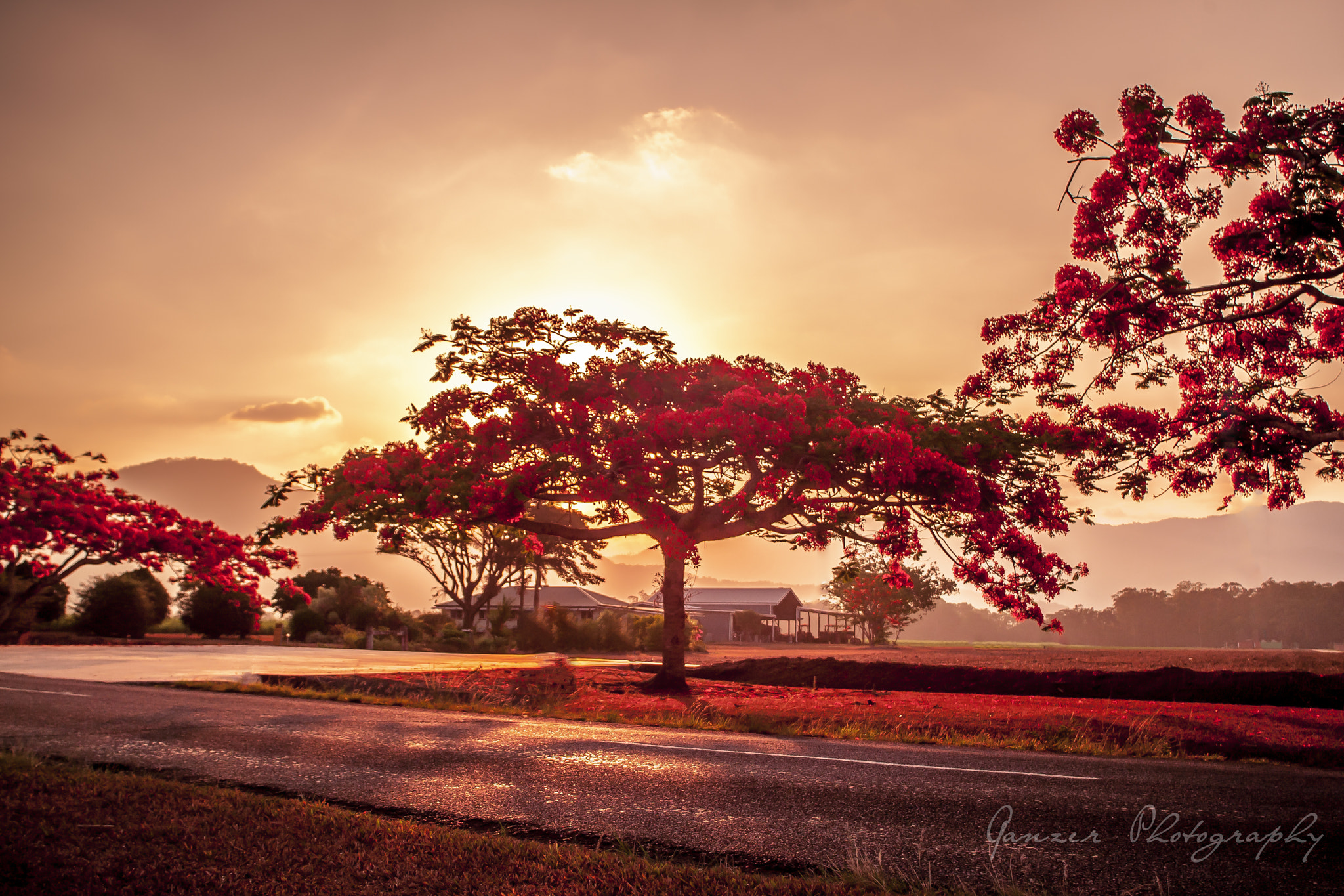 Canon EOS-1D Mark III sample photo. Red sunset o photography