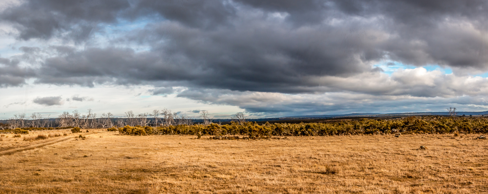 Canon EOS-1D Mark III sample photo. Tasmaina highlandsjpg o photography