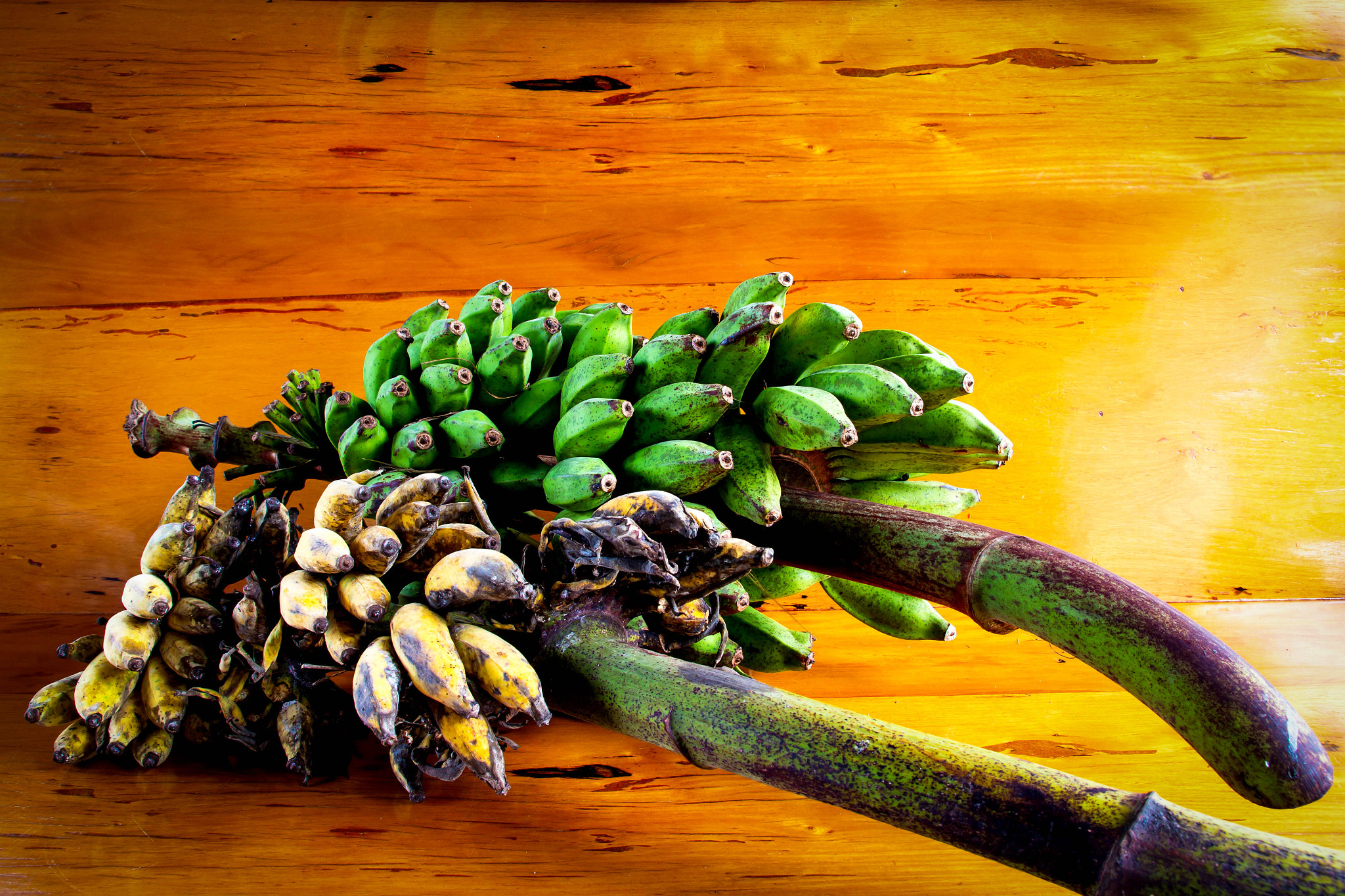 Canon EOS 600D (Rebel EOS T3i / EOS Kiss X5) + Canon EF-S 17-55mm F2.8 IS USM sample photo. Banana still life. on wood background photography
