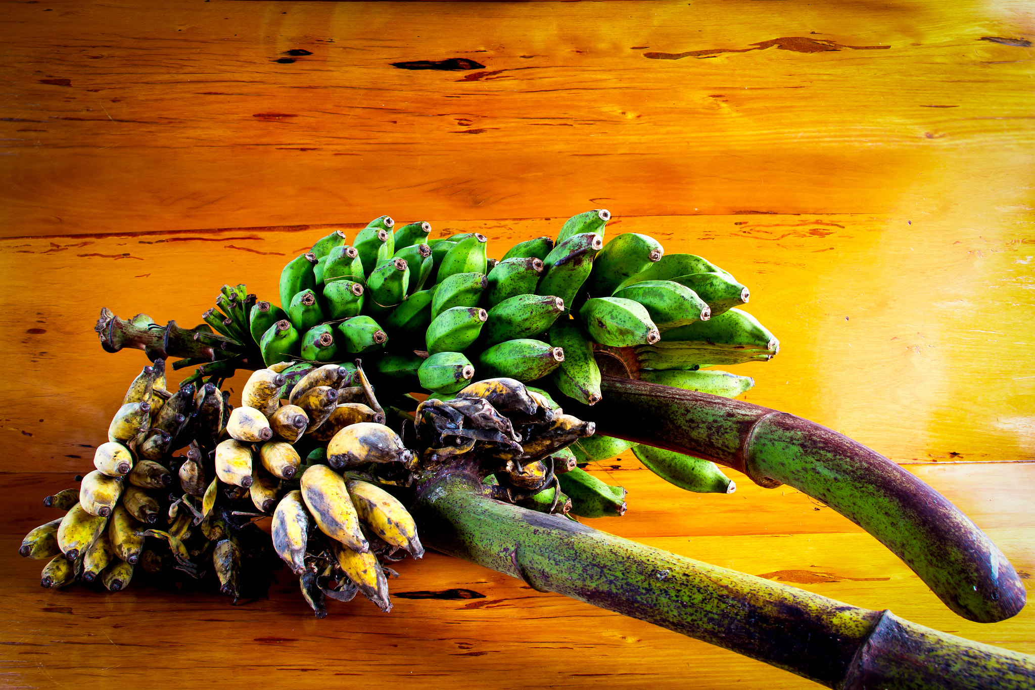 Canon EOS 600D (Rebel EOS T3i / EOS Kiss X5) sample photo. Banana still life. on wood background photography