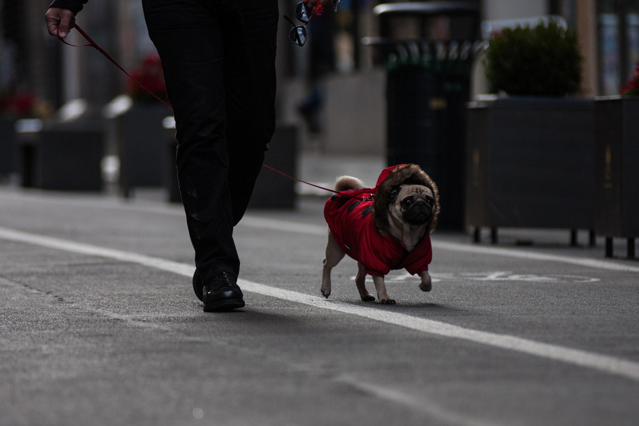 Canon EOS 40D sample photo. Carlino photography